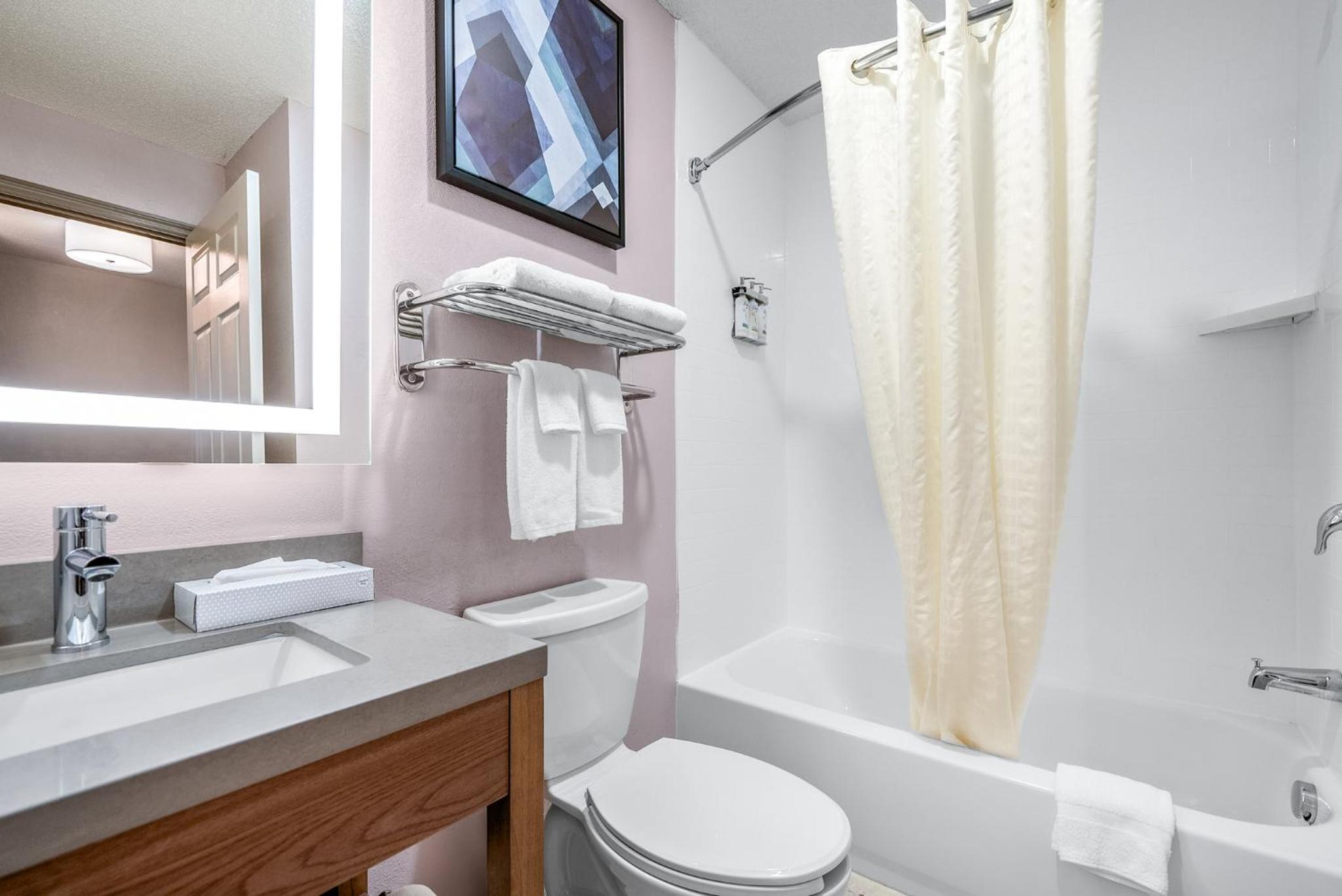 One-Bedroom Suite - Photo 4
