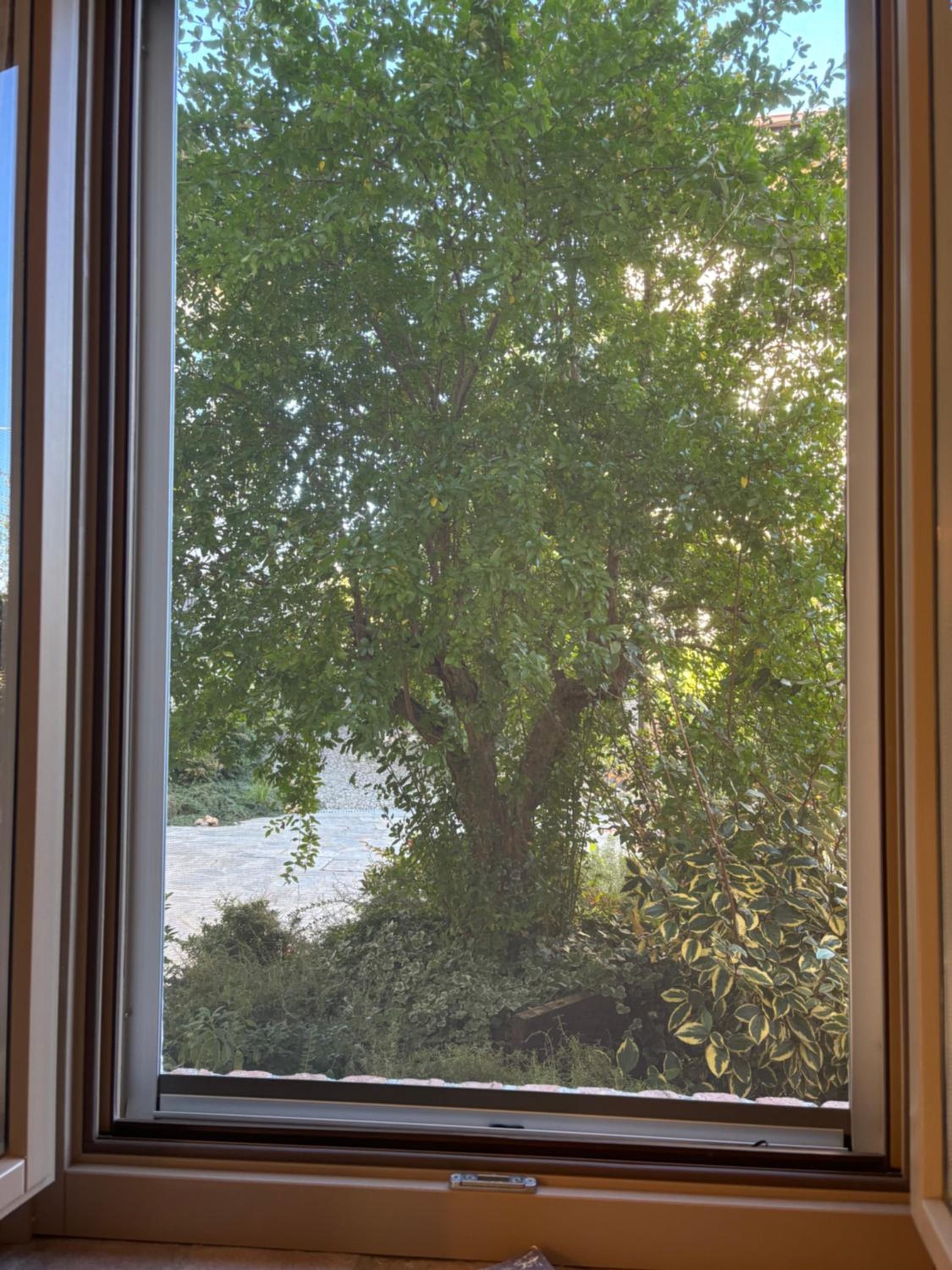 King Room with Garden View - Photo 6
