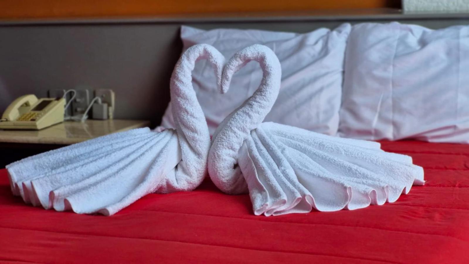 Standard Twin Room - Photo 2