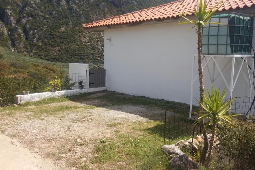 One-Bedroom House photo 3