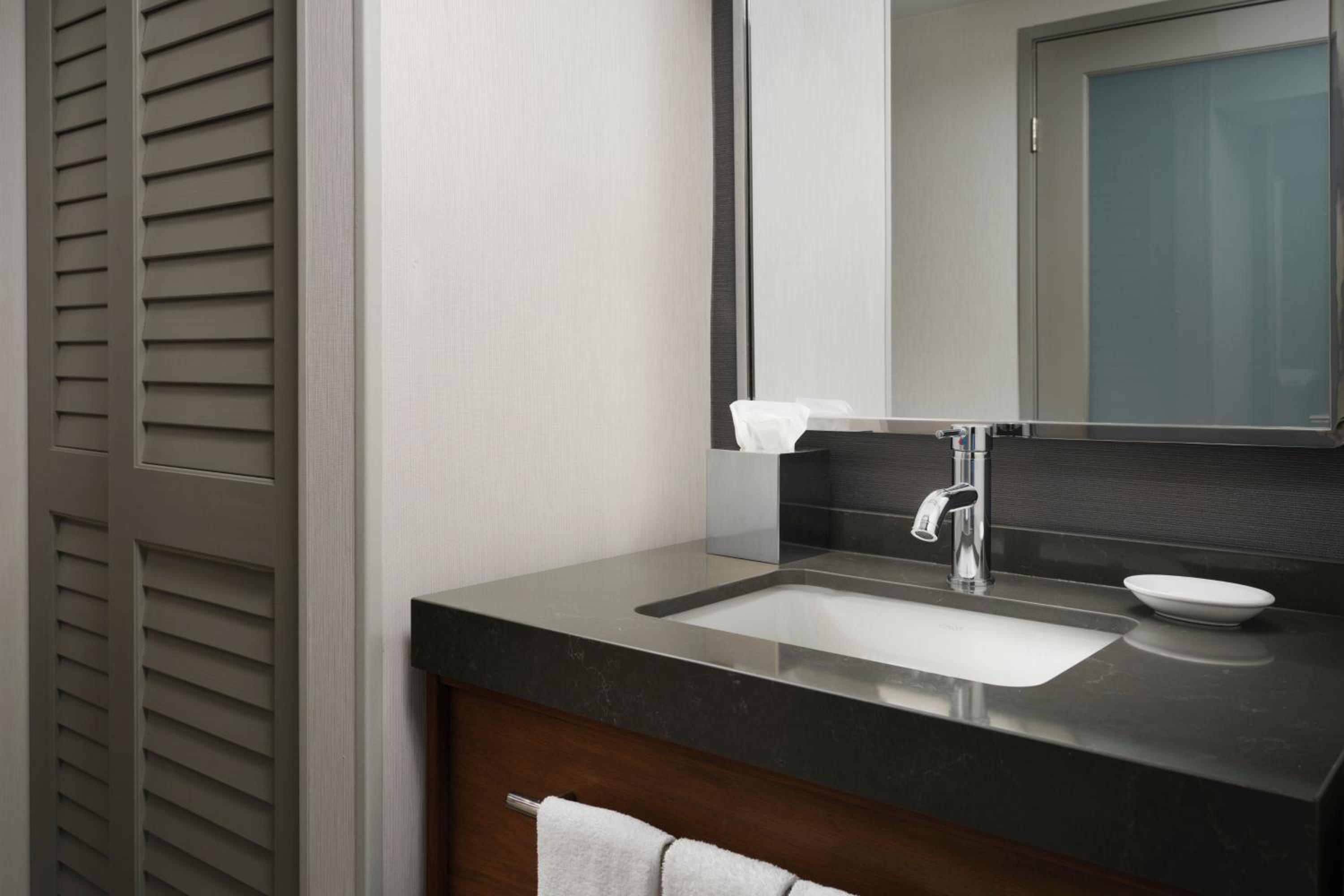 King Room with Roll-in Shower - Mobility and Hearing Accessible - Photo 3