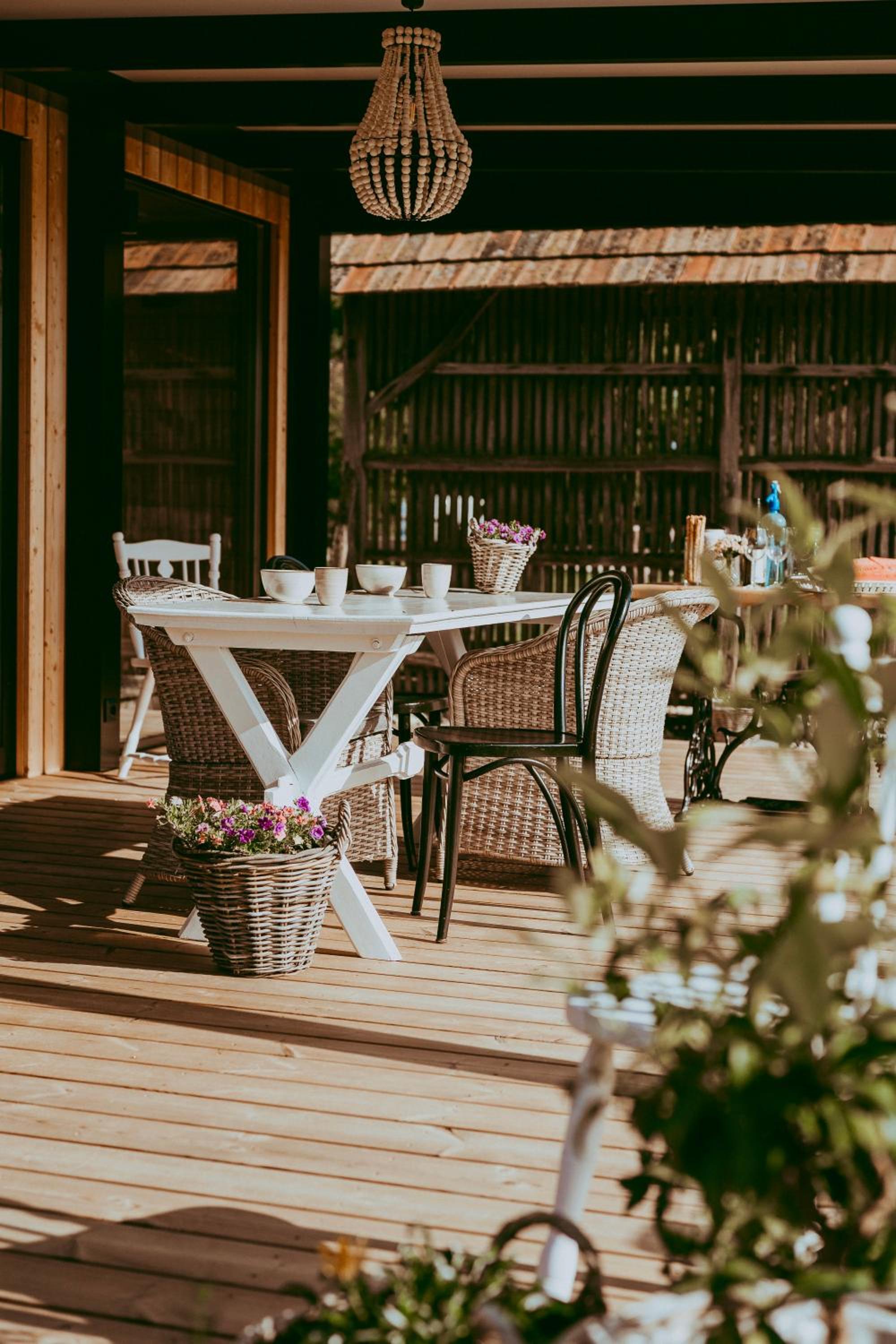 Studio with Terrace photo 2