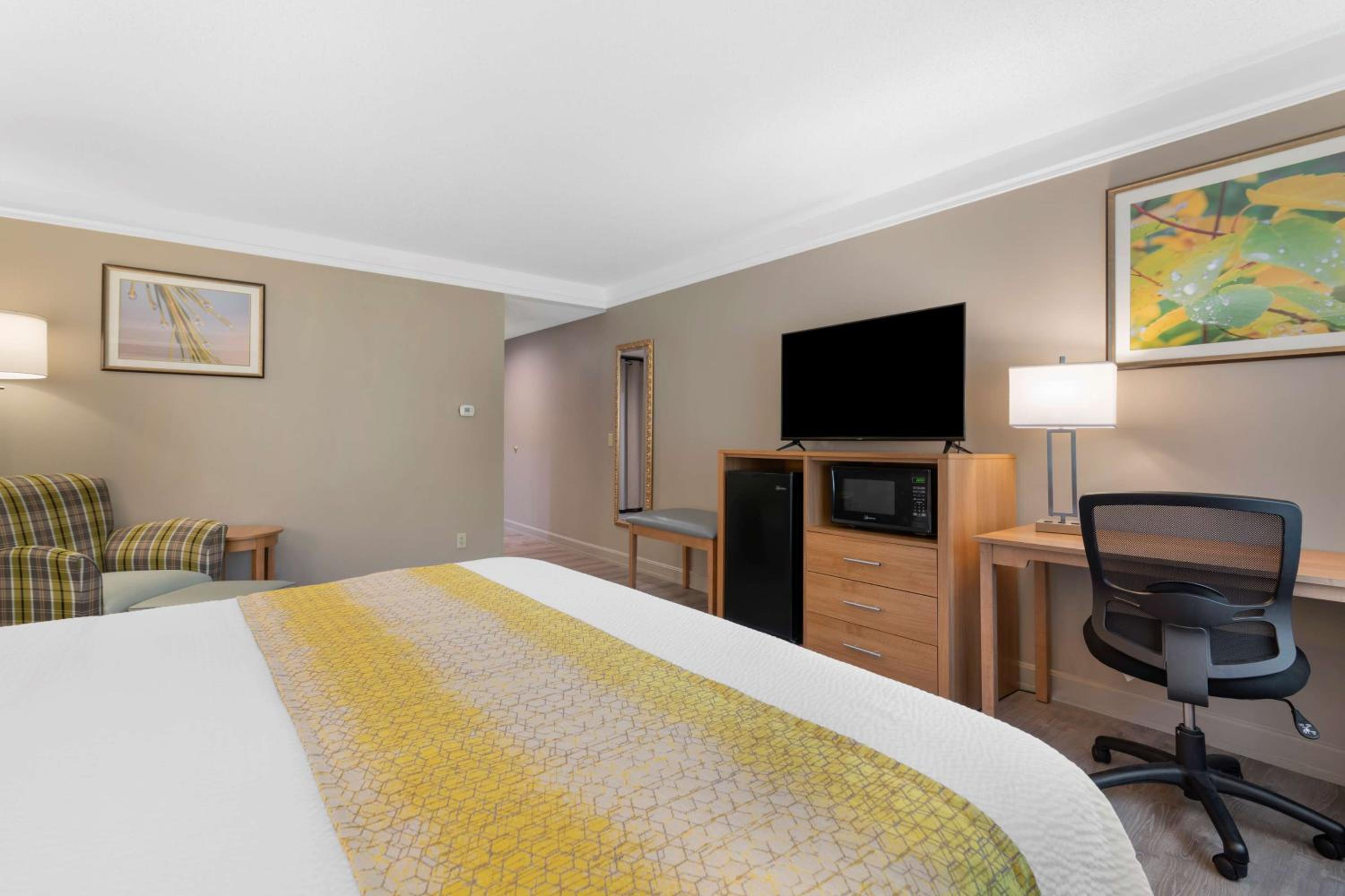 Business King Room - Photo 4