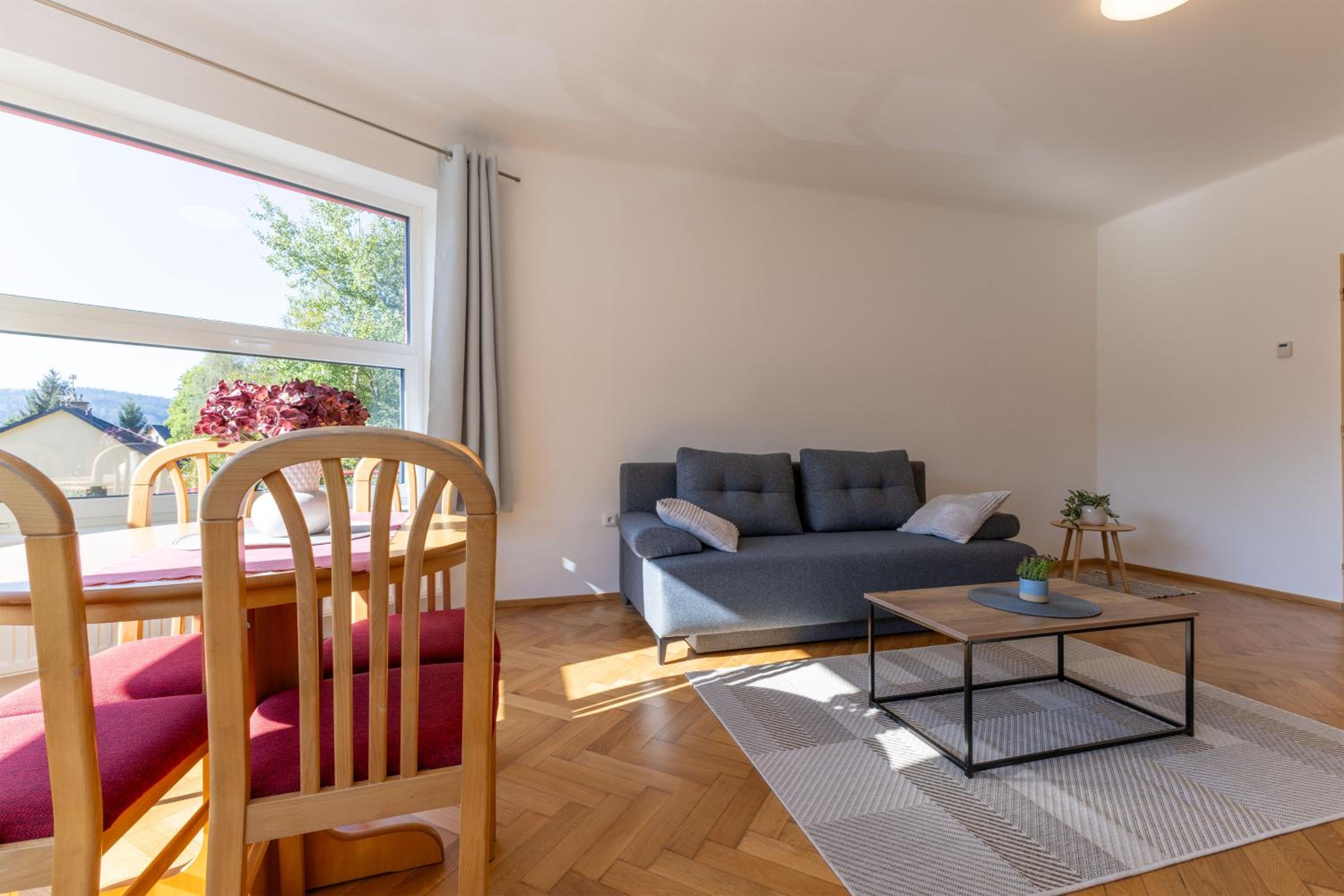 Apartment with Terrace photo 3