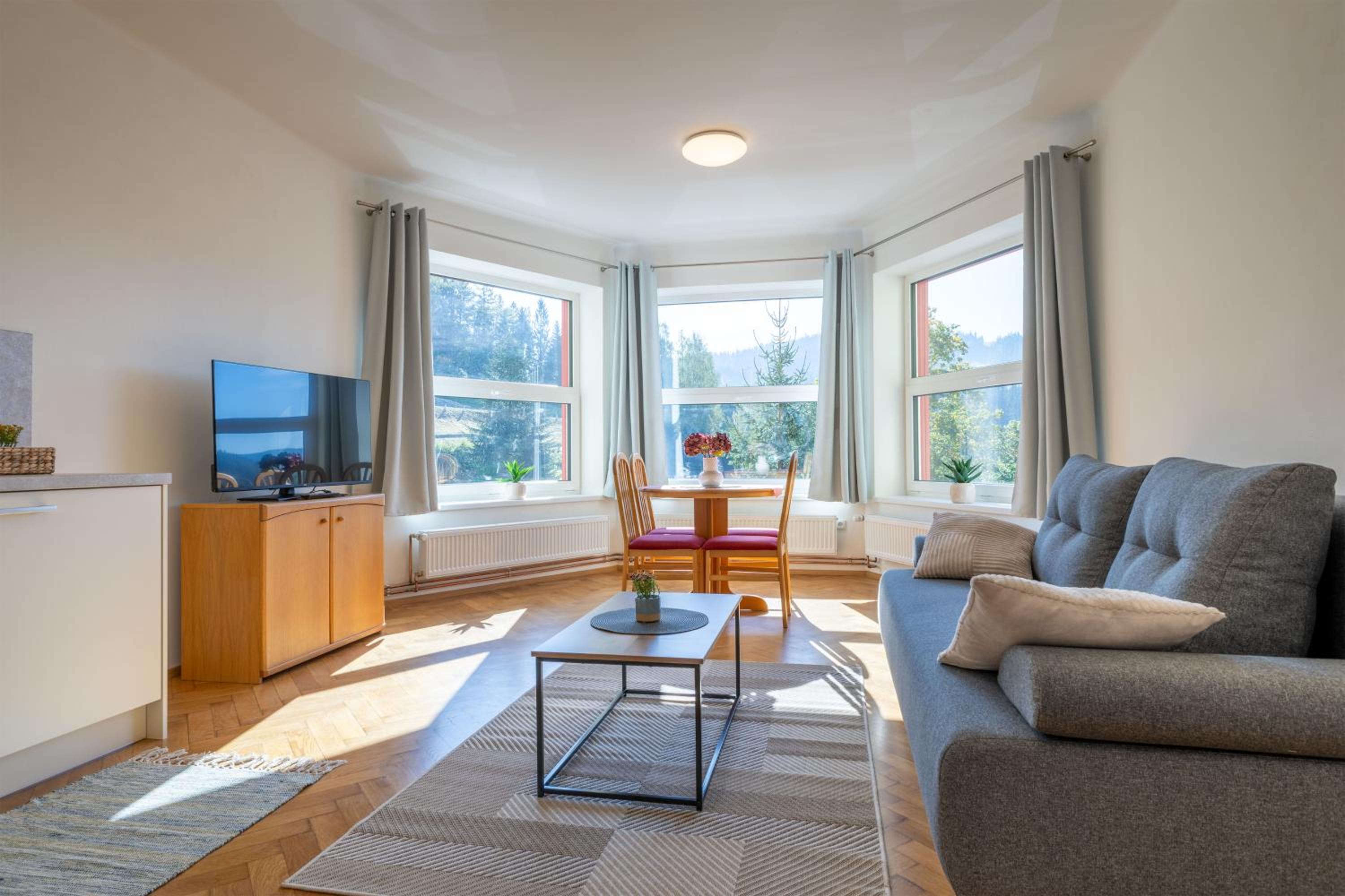 Apartment with Terrace photo 1