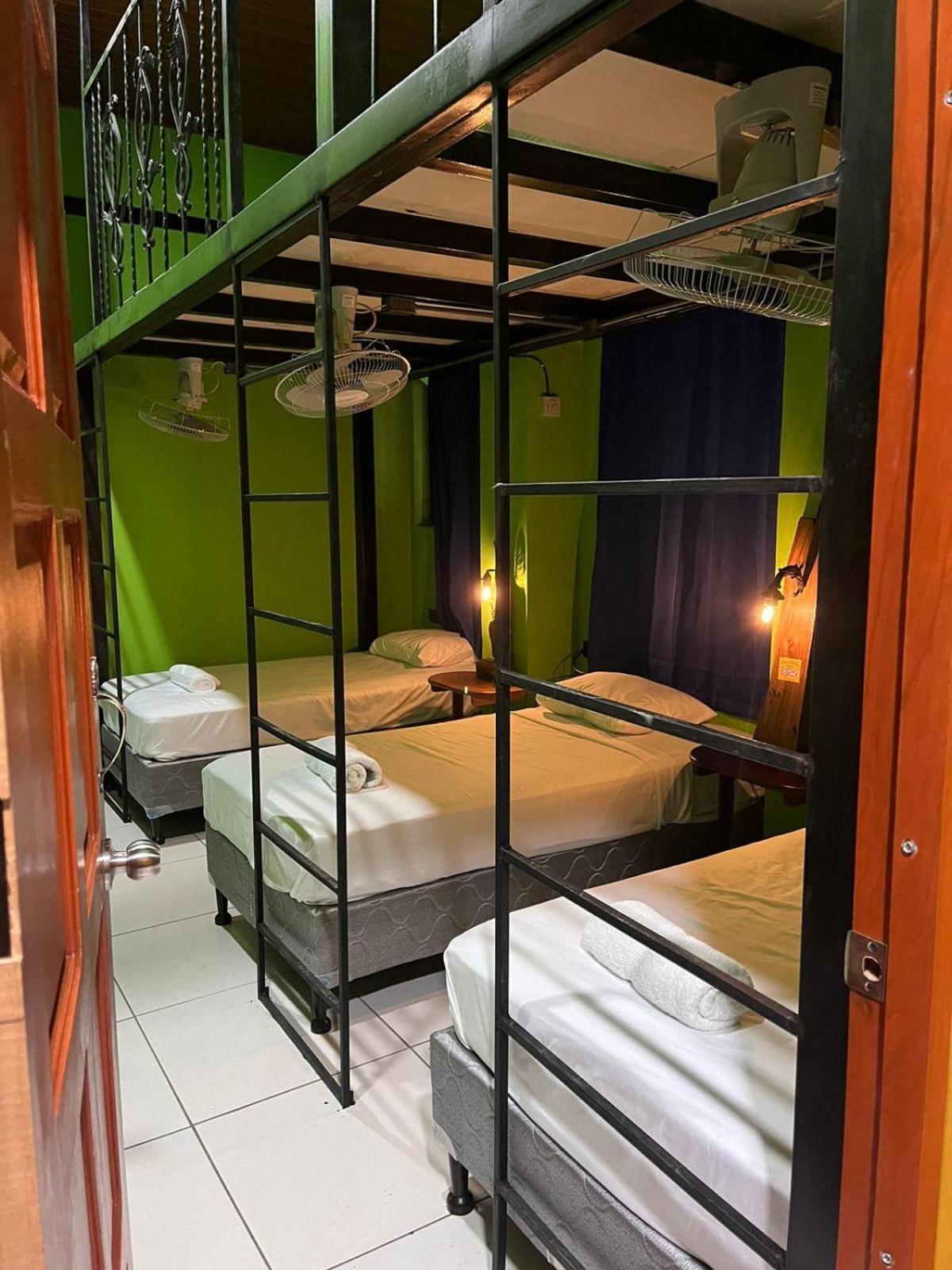 Mixed Dormitory Room photo 3