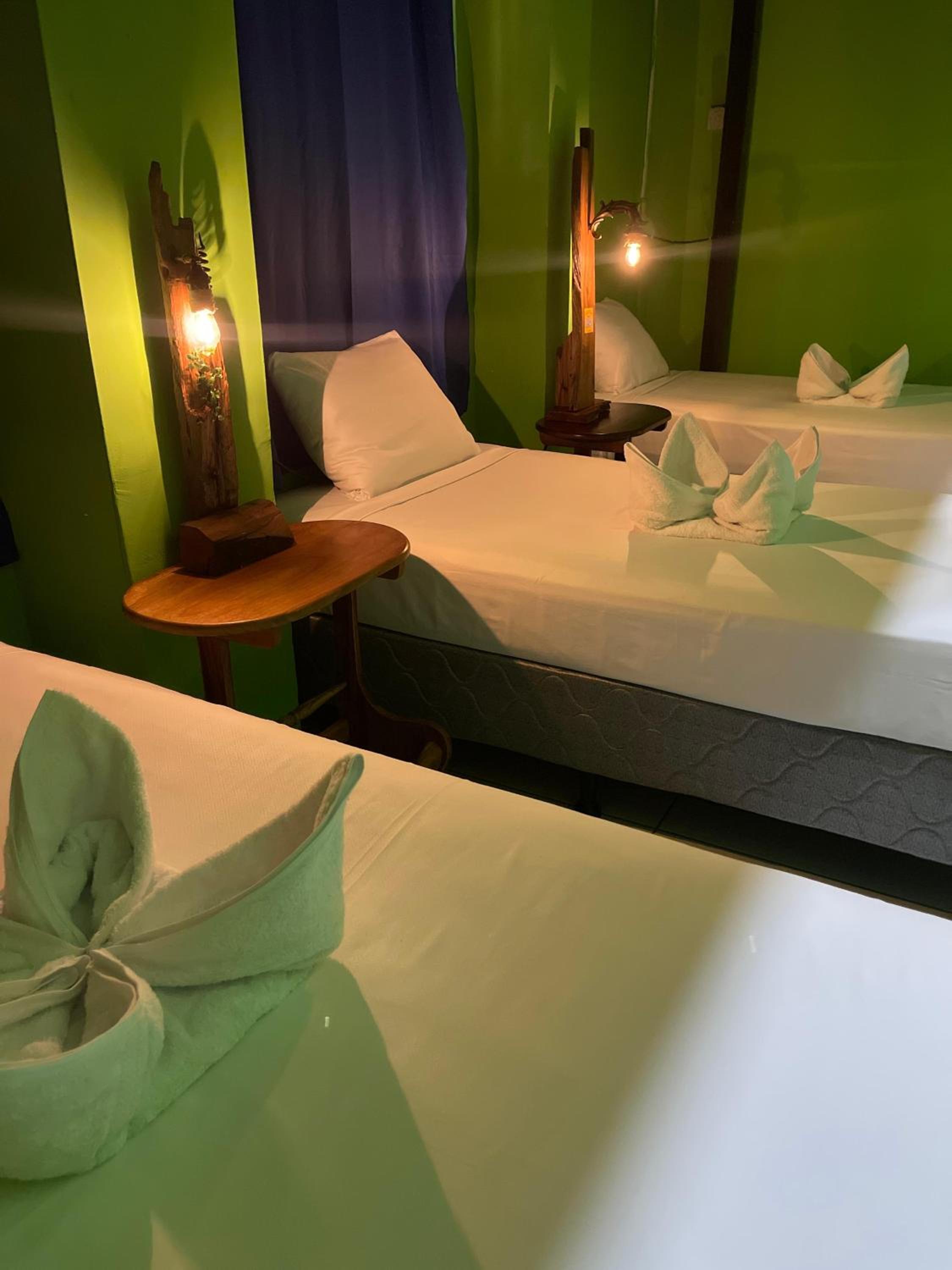 Mixed Dormitory Room photo 2