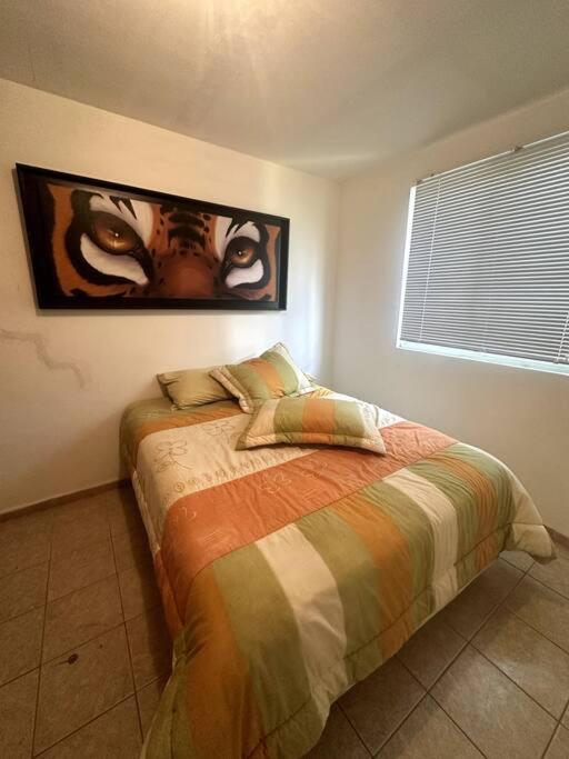 Three-Bedroom House photo 3