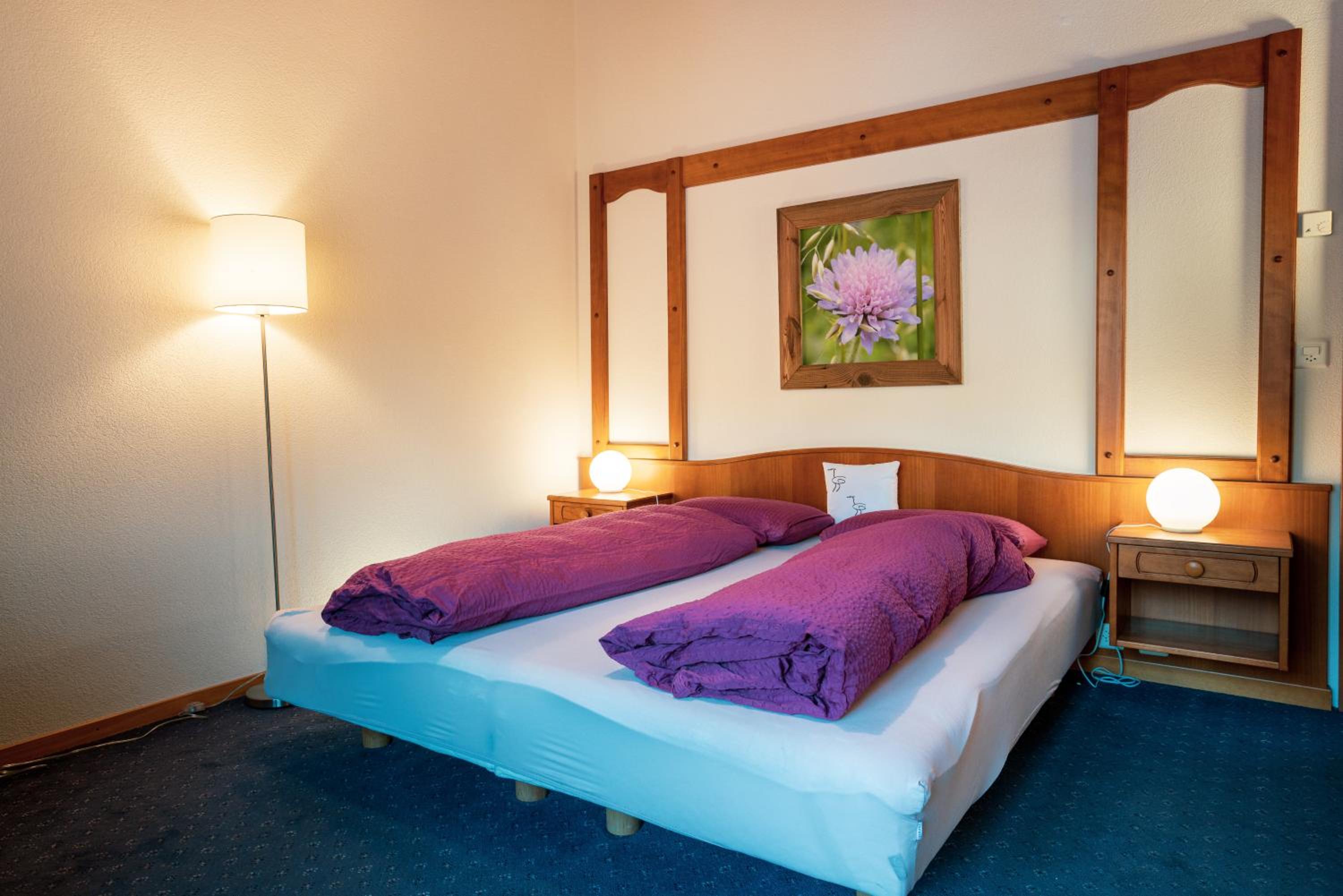 Deluxe Double or Twin Room photo 2