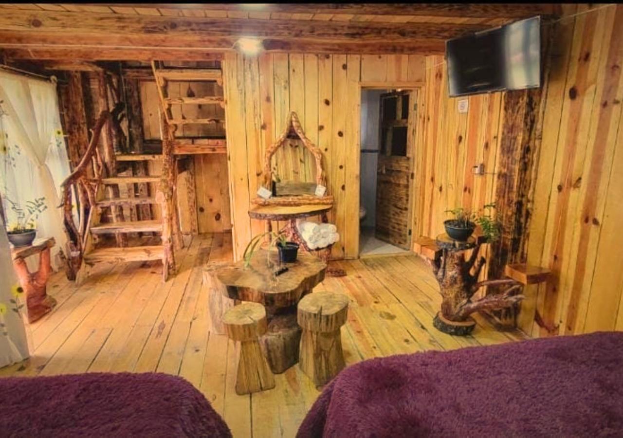 Classic Quadruple Room photo 3