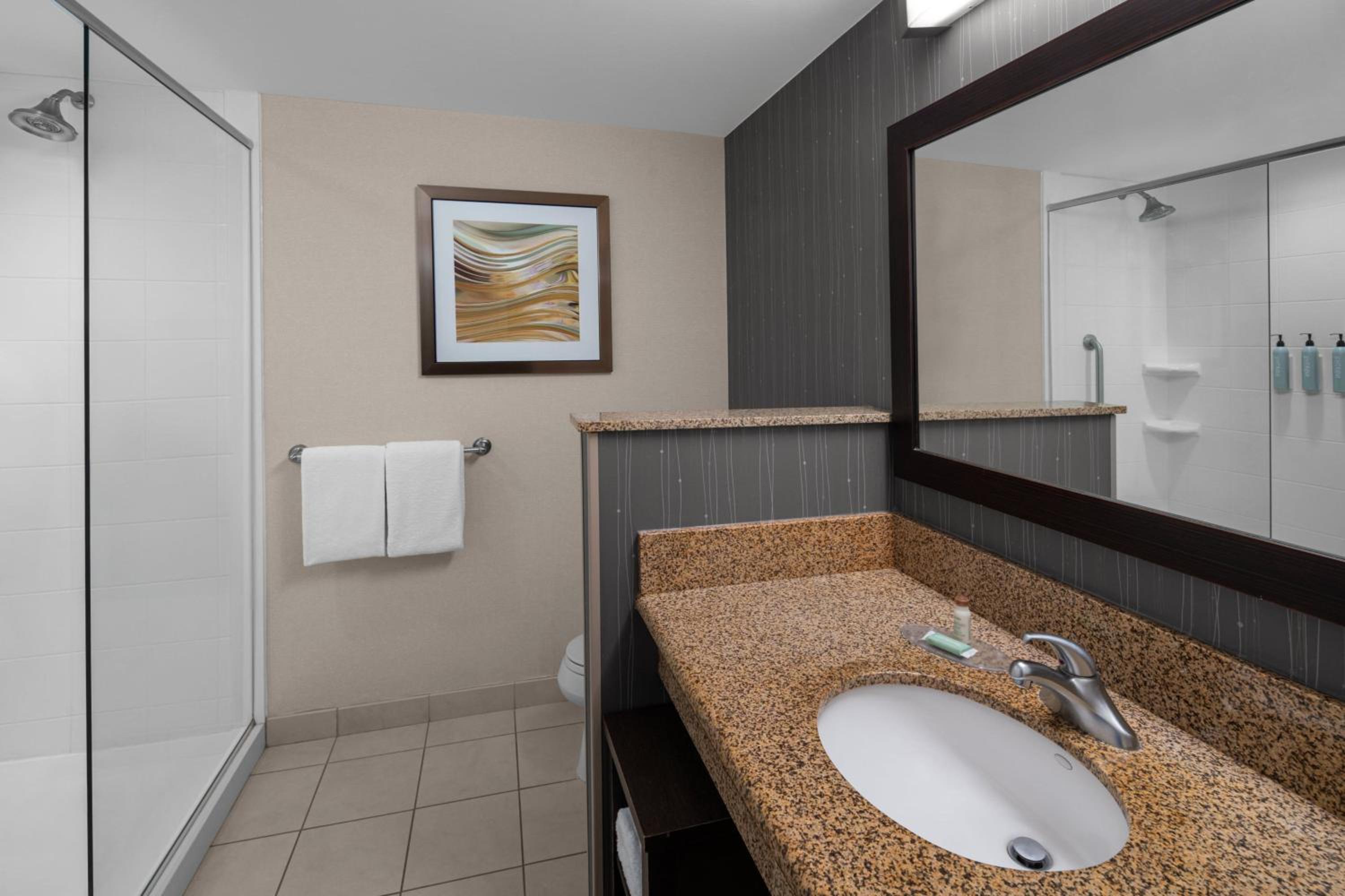 Deluxe King Room - Photo 5