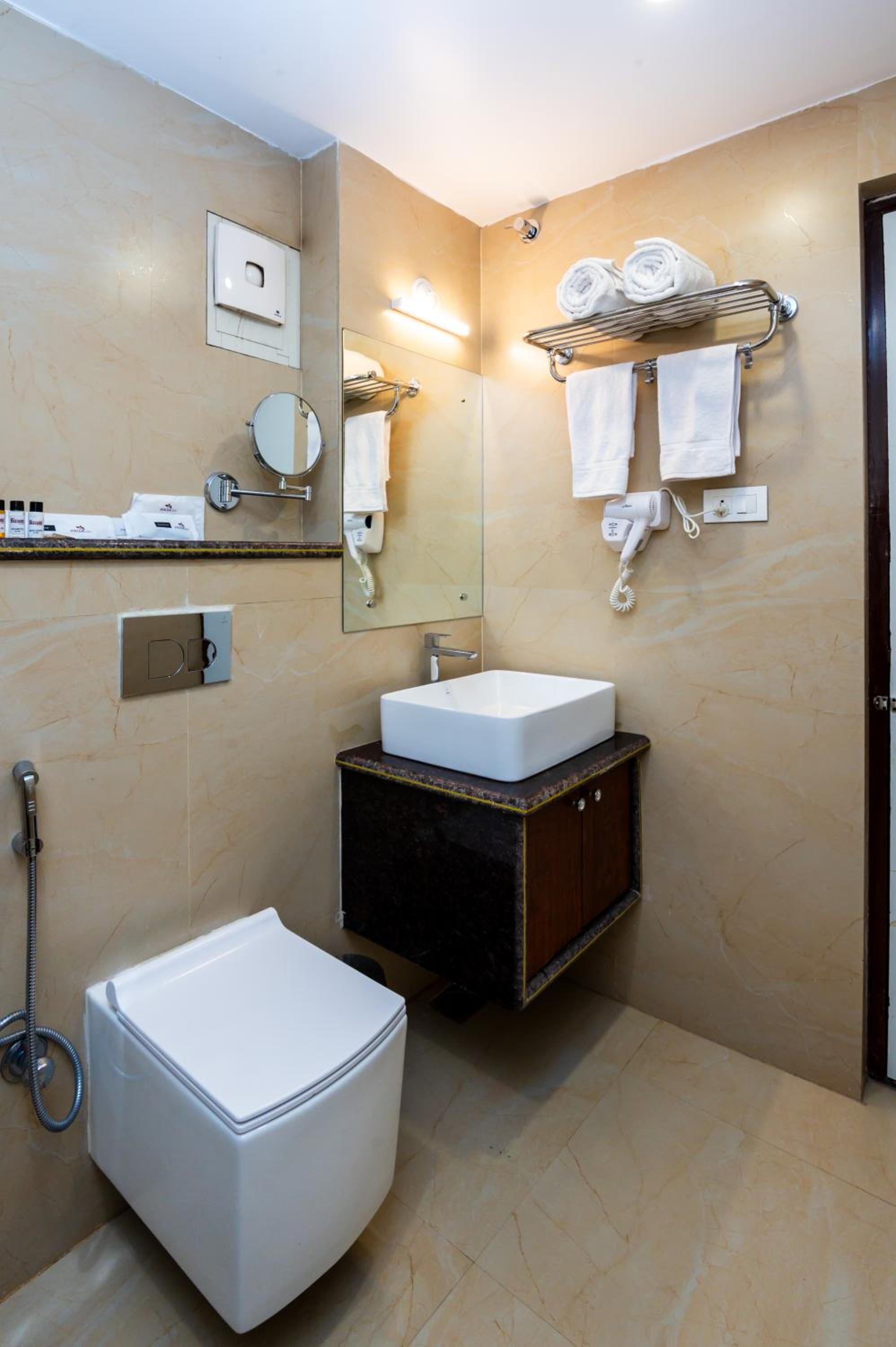 Deluxe Double or Twin Room photo 3