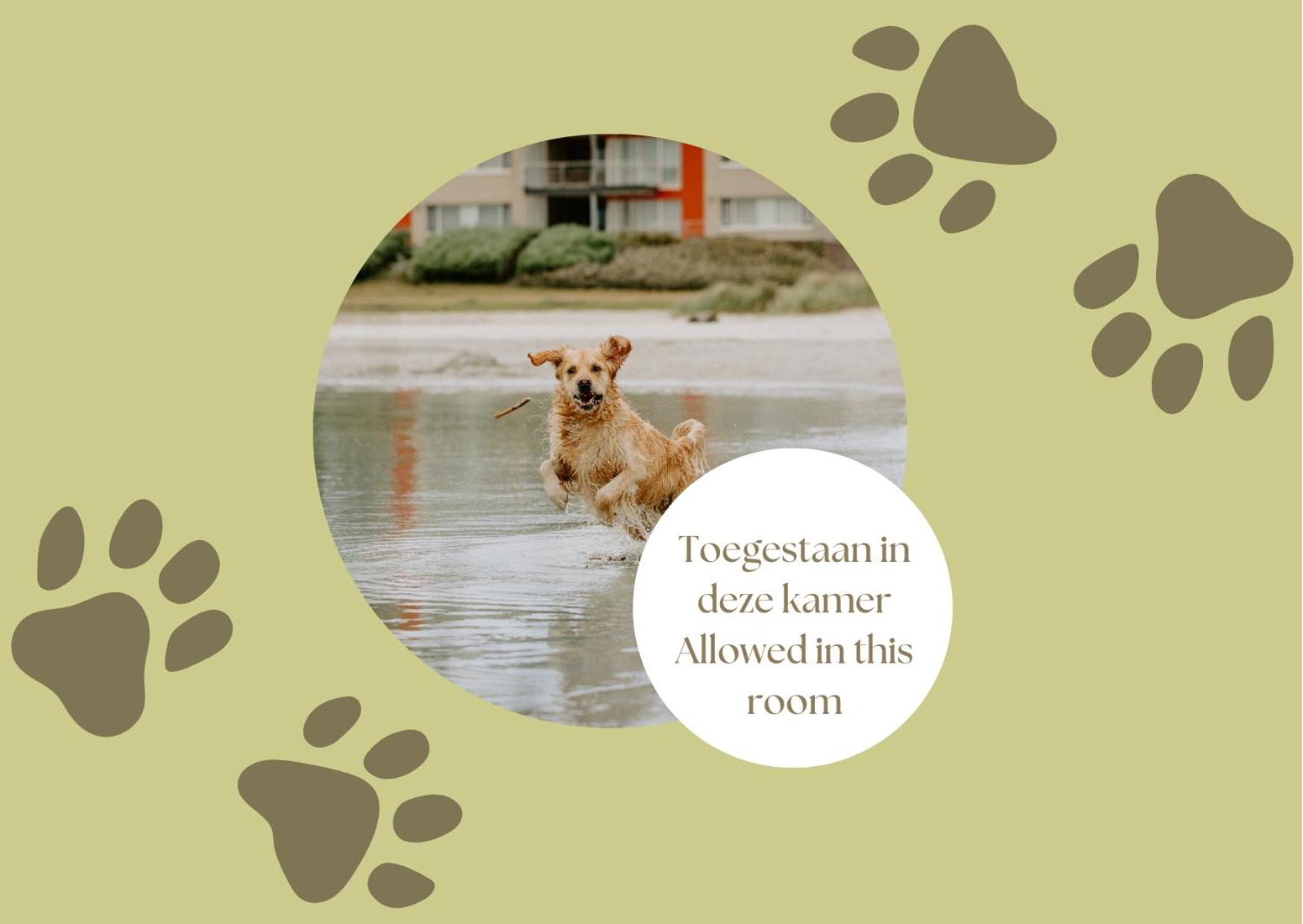 Standard Twin Room - Pets Allowed photo 2