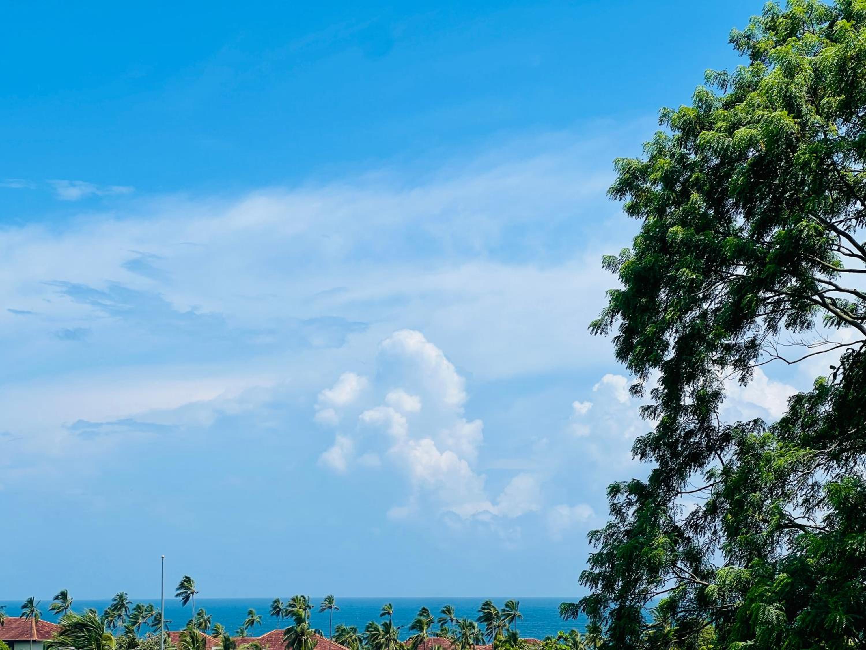 Deluxe Double Room with Sea View photo 3