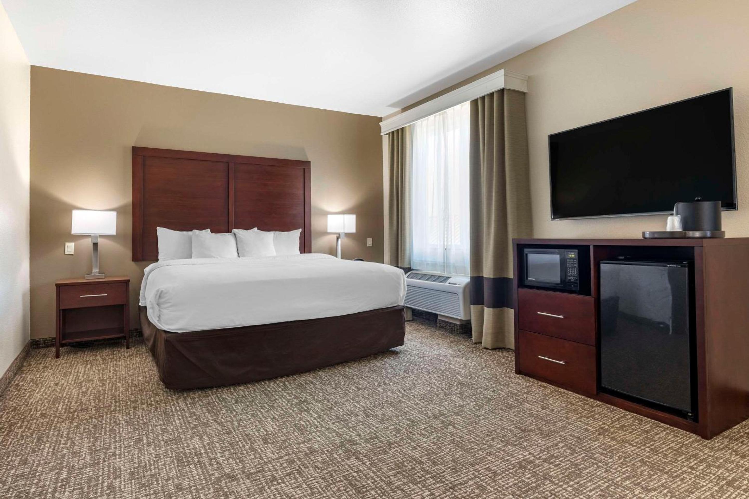 King Suite with Roll-in-Shower - Accessible/Non-Smoking - Photo 1