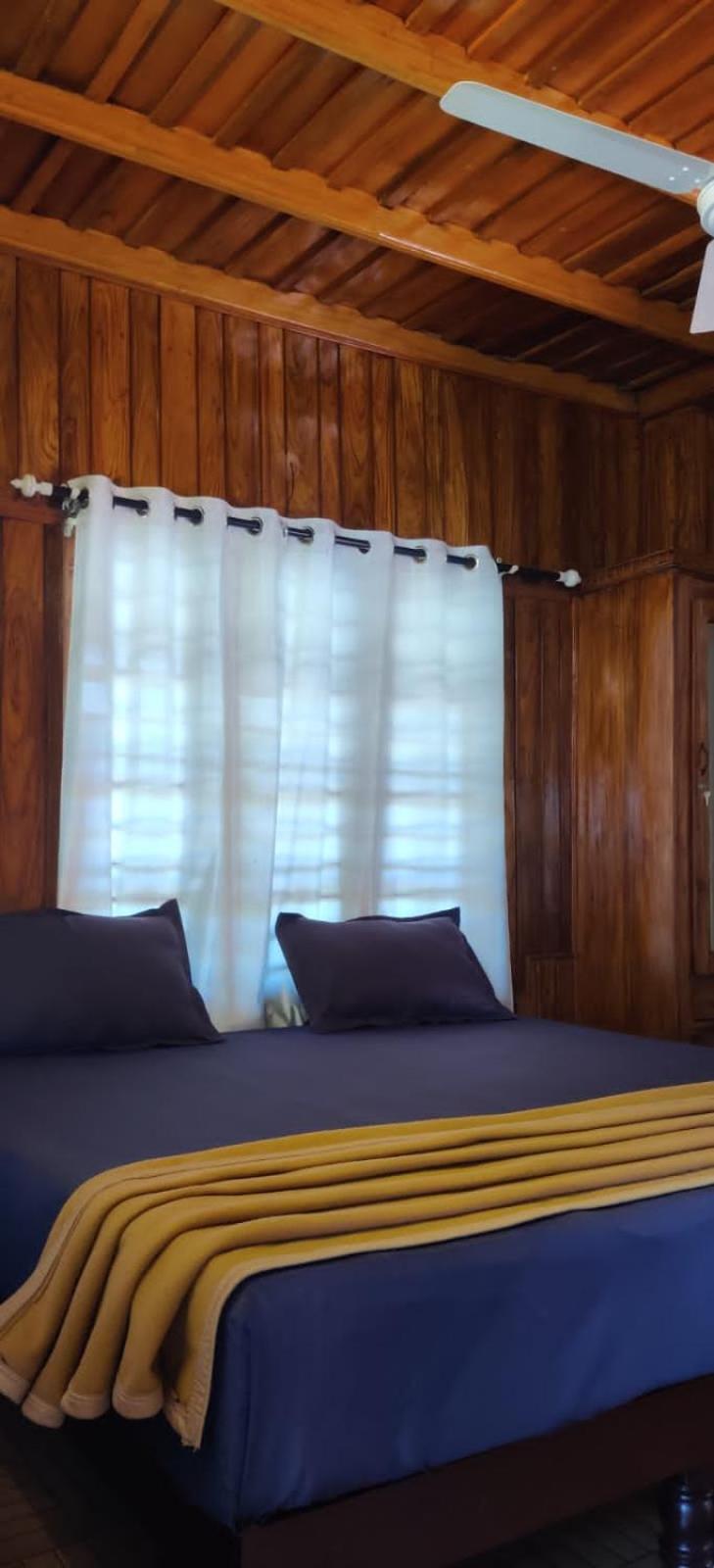 Deluxe Room photo 1