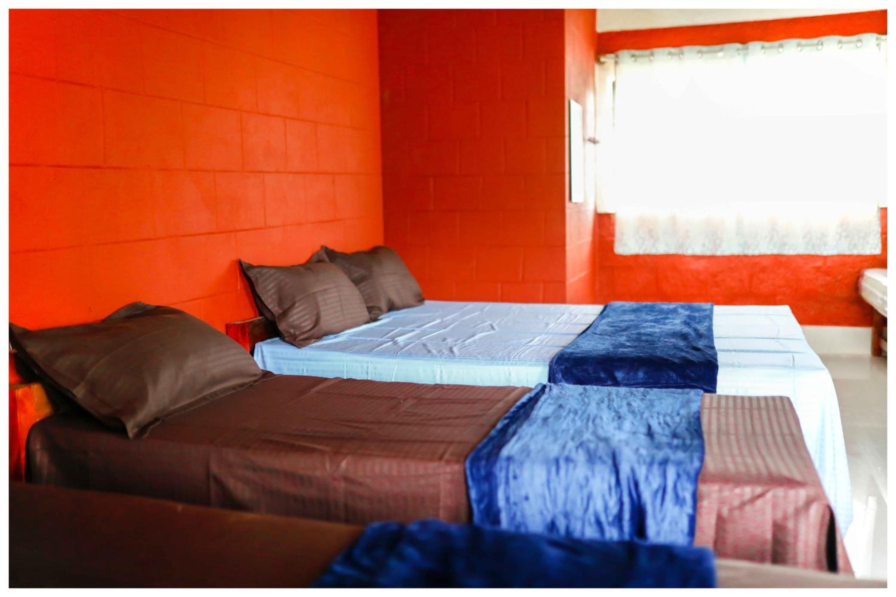 Quadruple Room photo 2