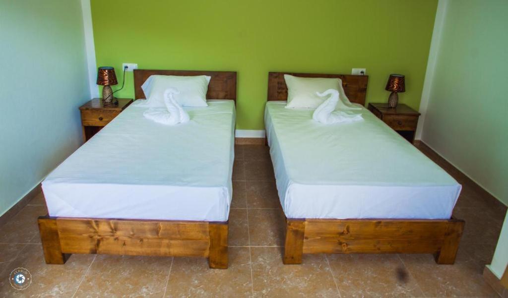 Twin Room photo 2