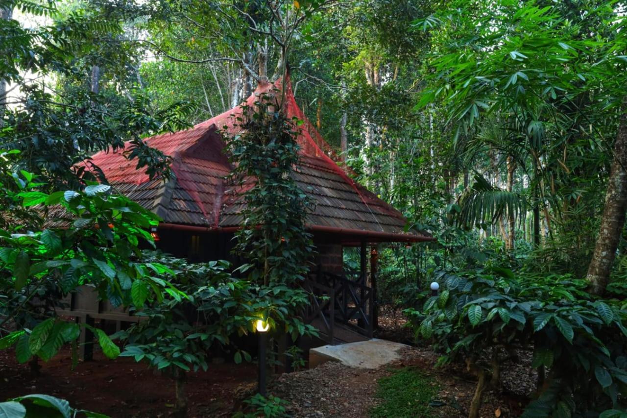 Courtyard Tree Villa photo 2