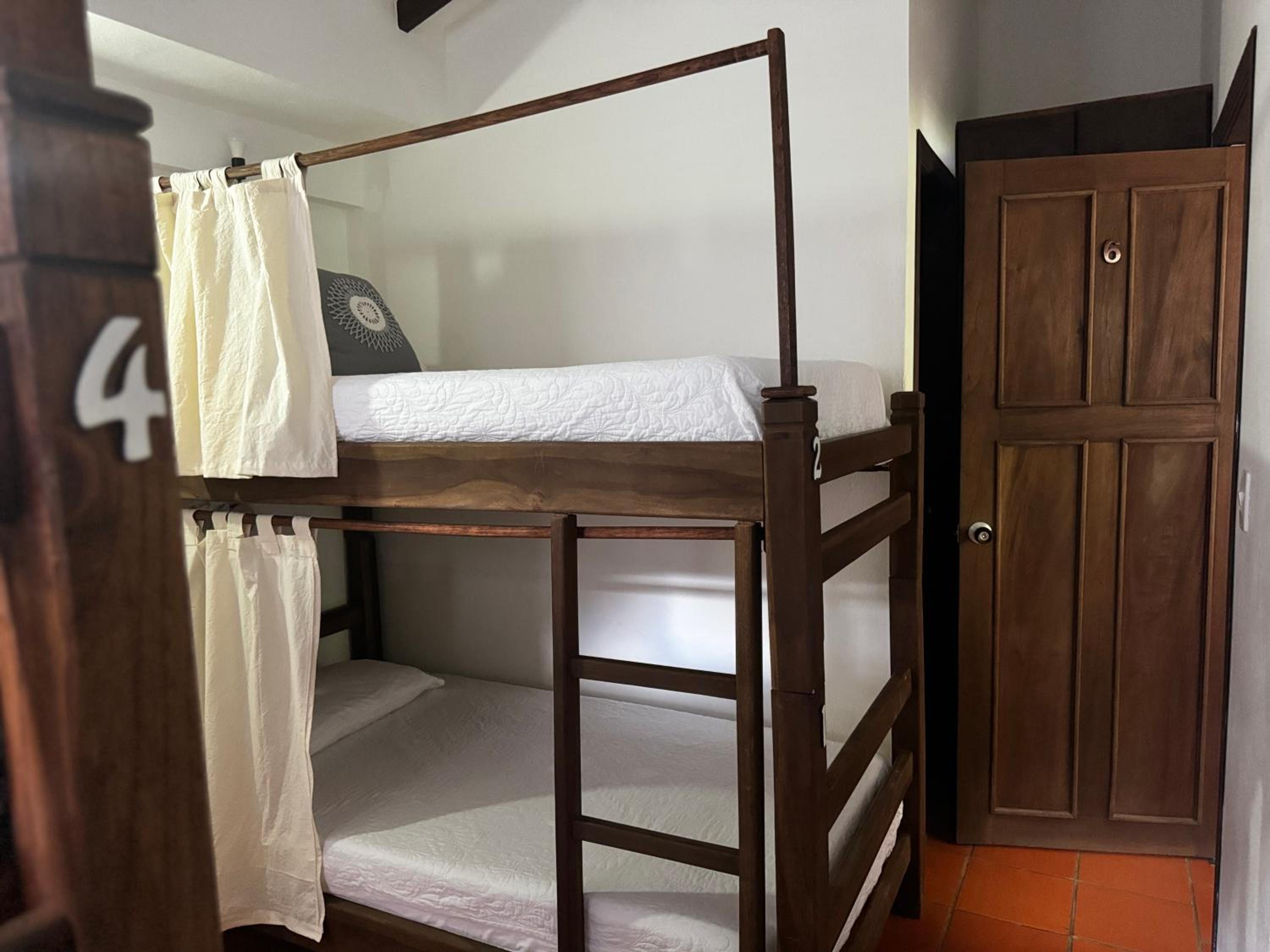 Bunk Bed In Mixed Dormitory Room photo 1