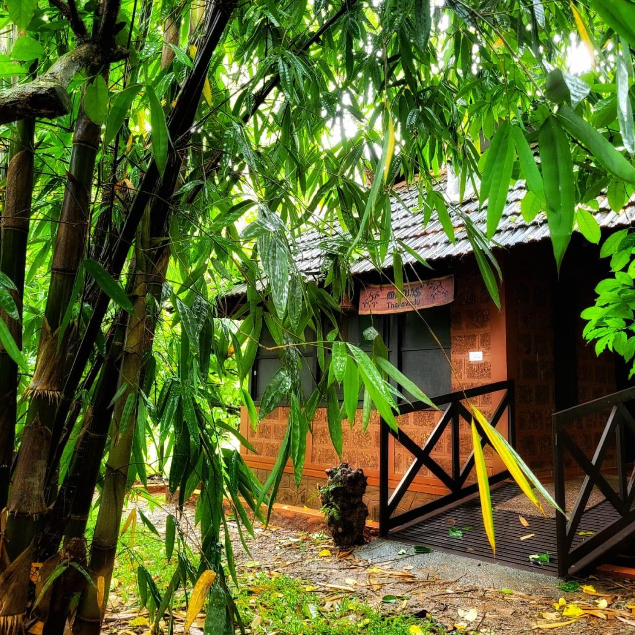 Couple Tent Stay photo 3