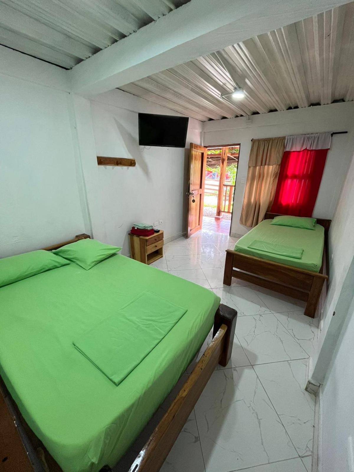 Twin Room photo 2