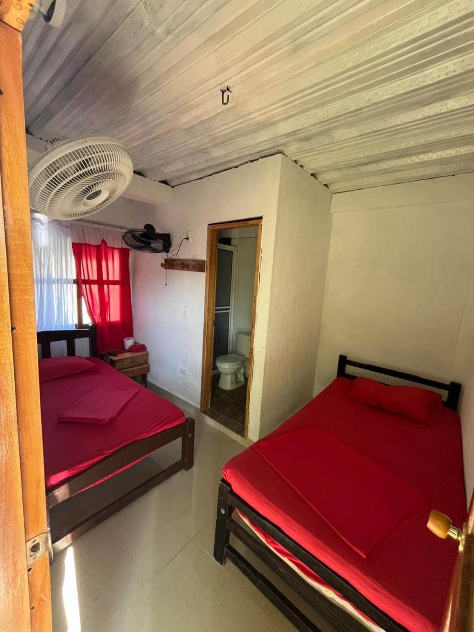 Twin Room photo 1