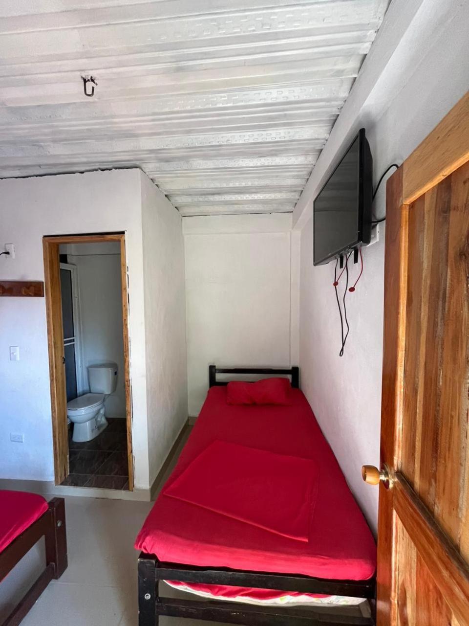 Twin Room photo 2