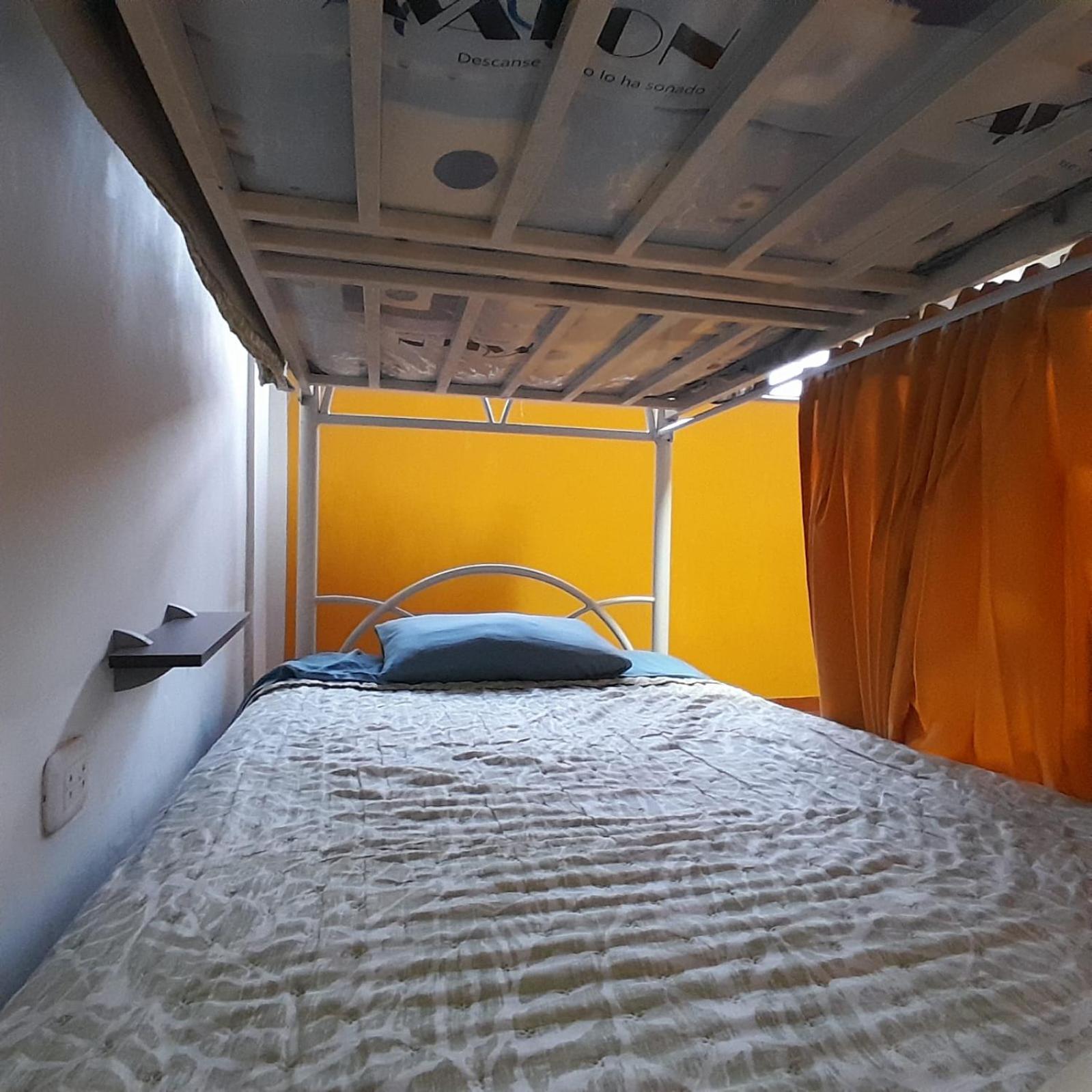 Bunk Bed in Mixed Dormitory Room