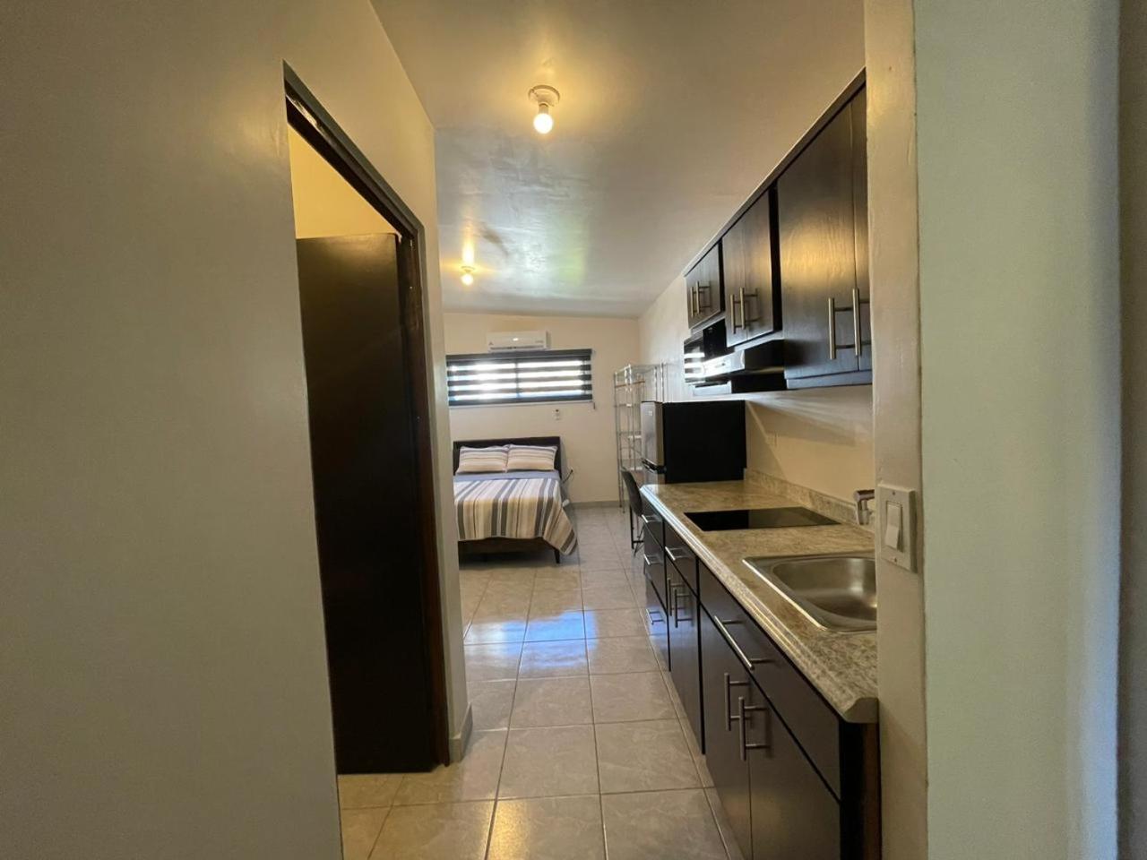One-Bedroom Apartment photo 3