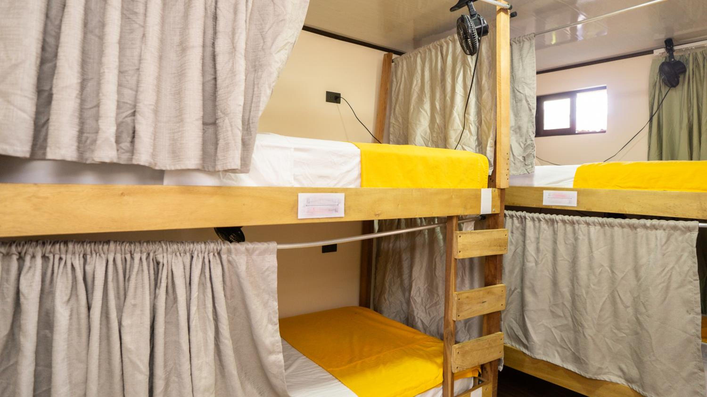 Bed in 4-Bed Dormitory Room photo 1