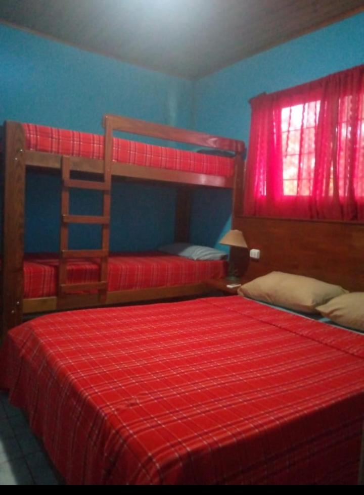 Twin Room photo 1