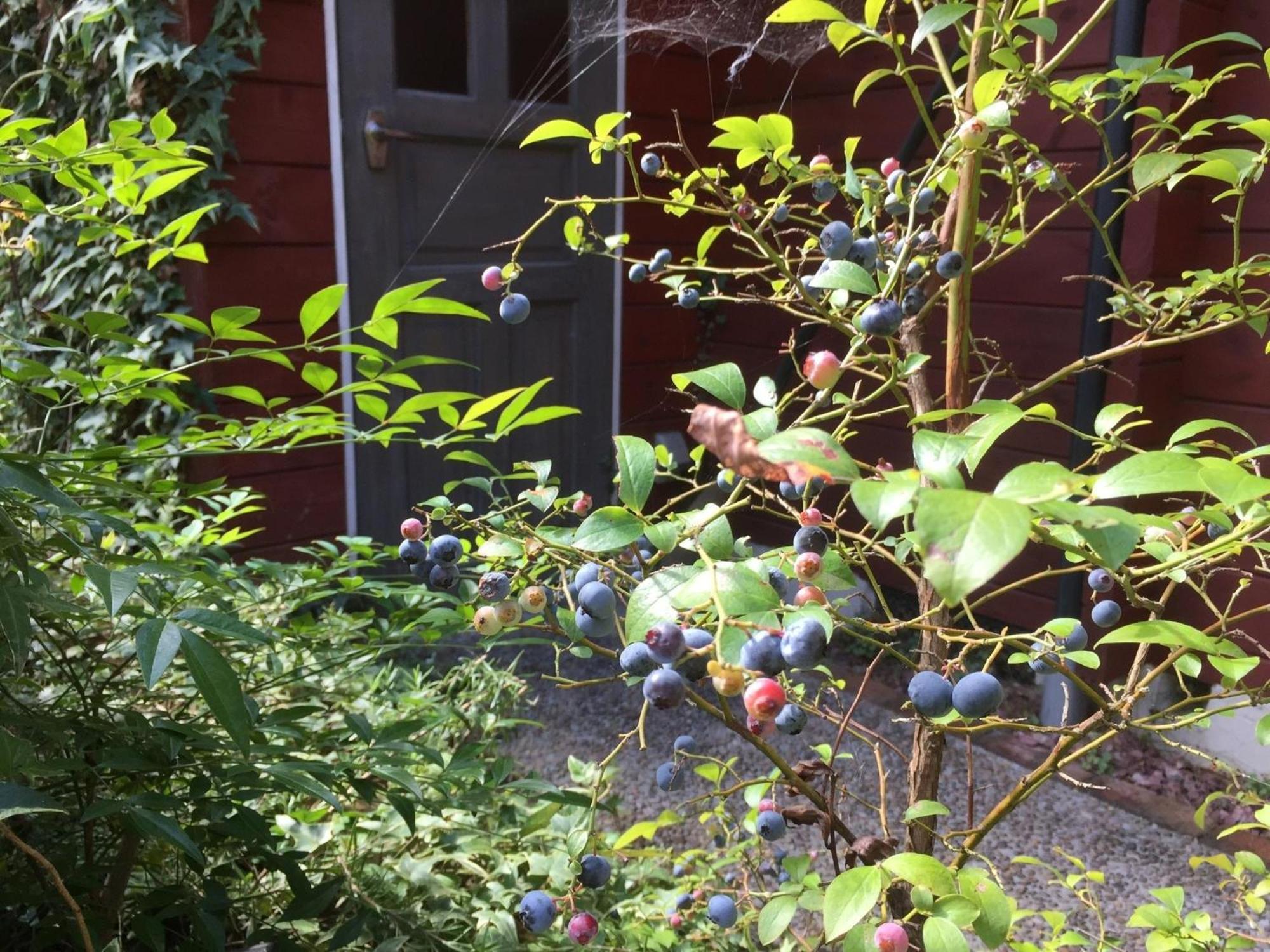 Vacation Home - Photo 8