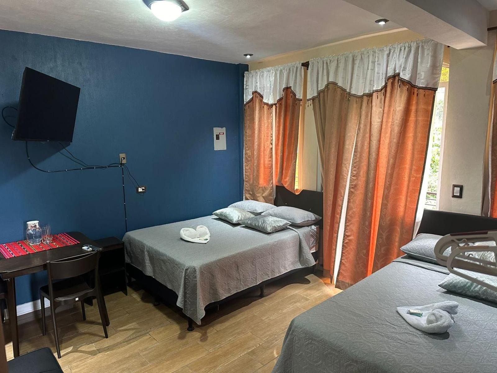 Twin Room photo 3