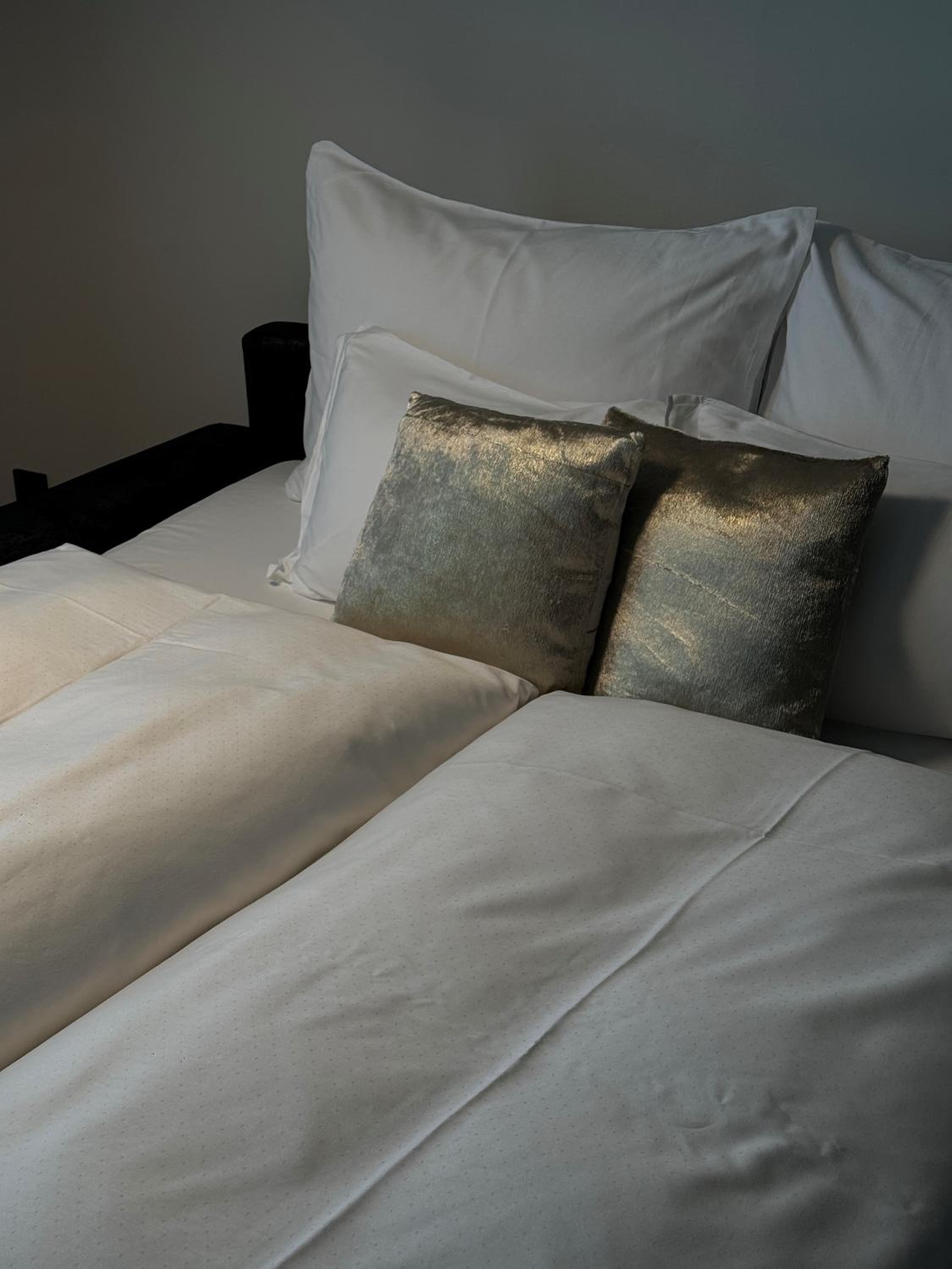 Superior Suite photo 2