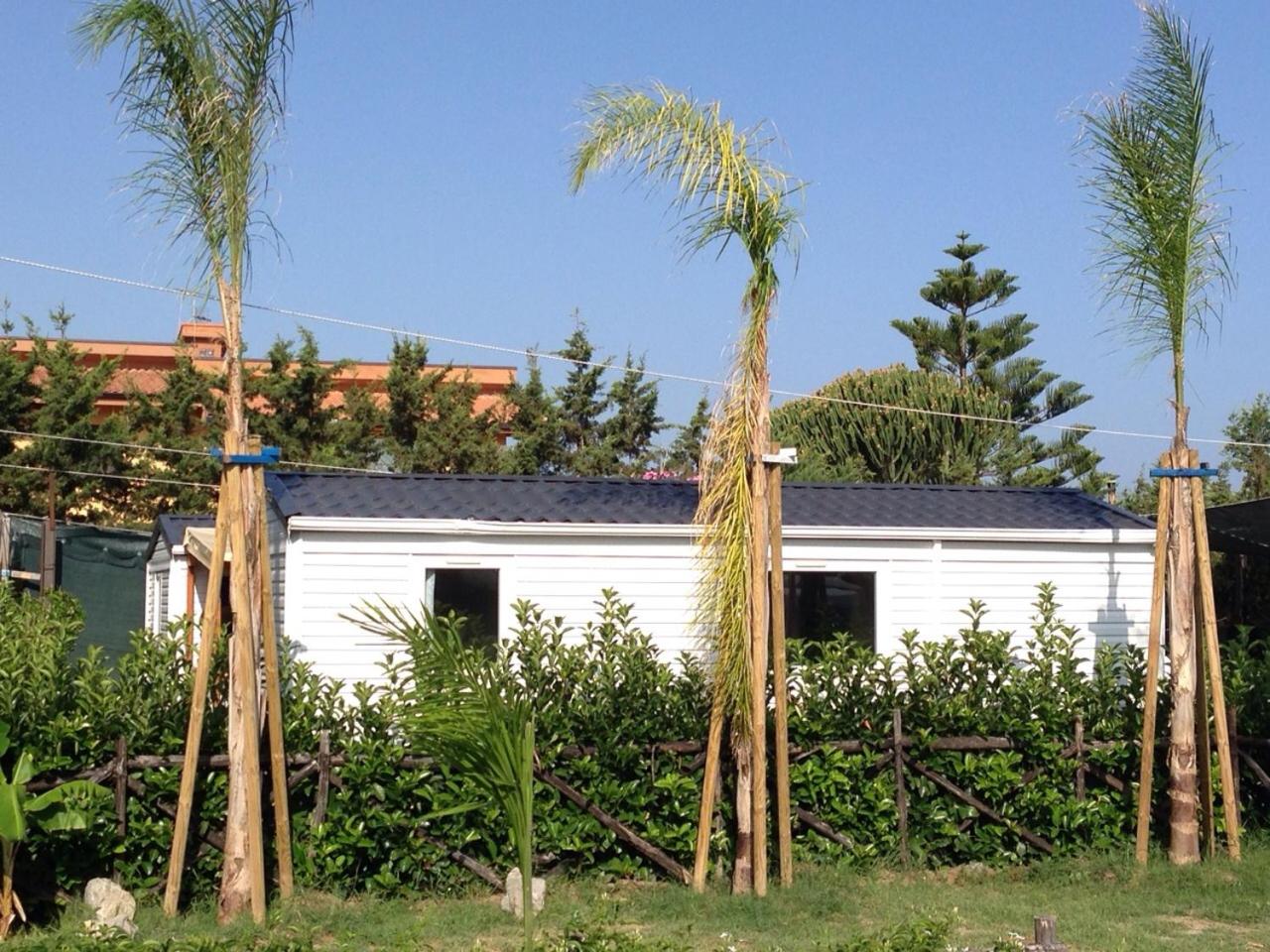 Mobile Home - Photo 5