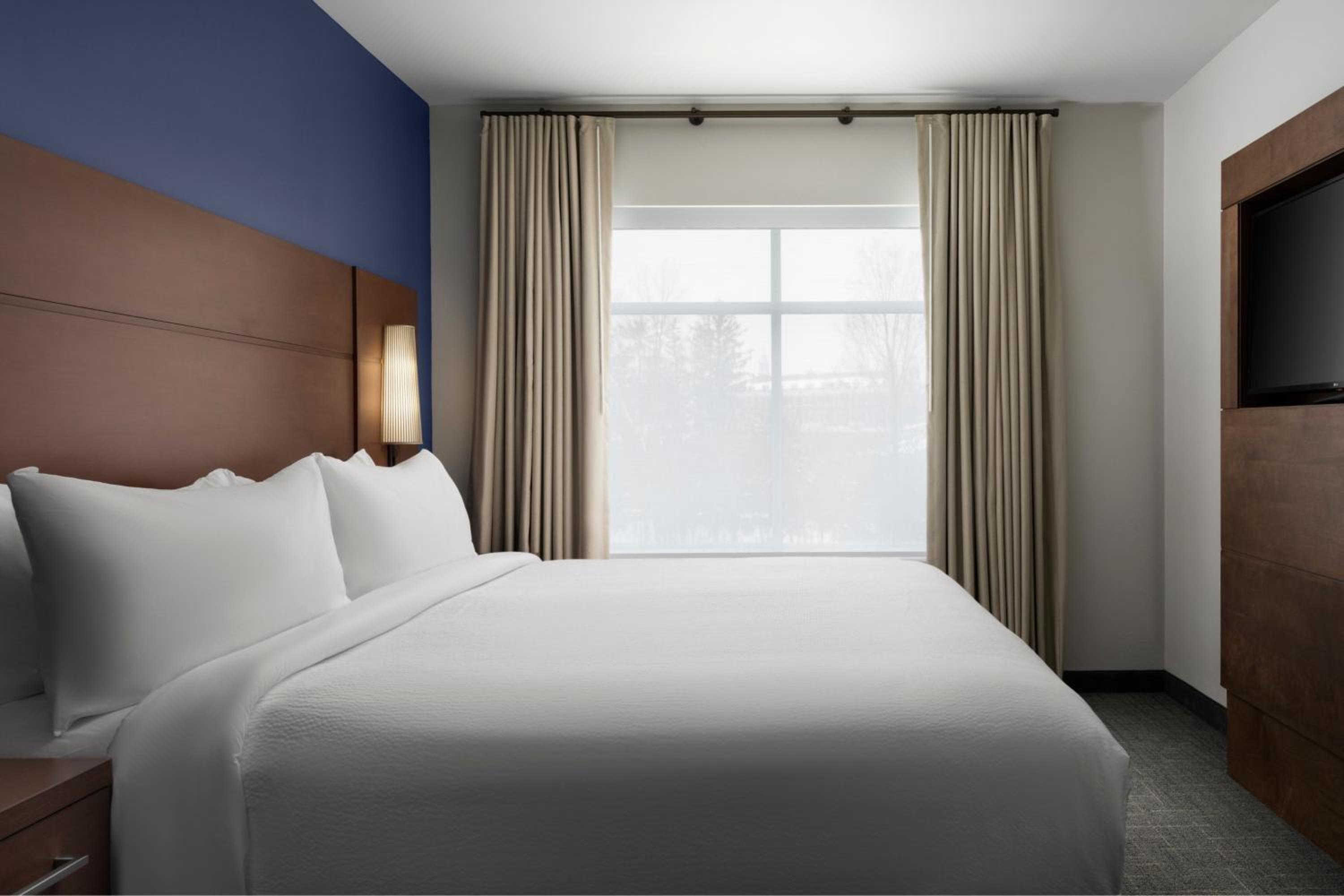One-Bedroom King Suite with Sofa Bed  - Photo 4