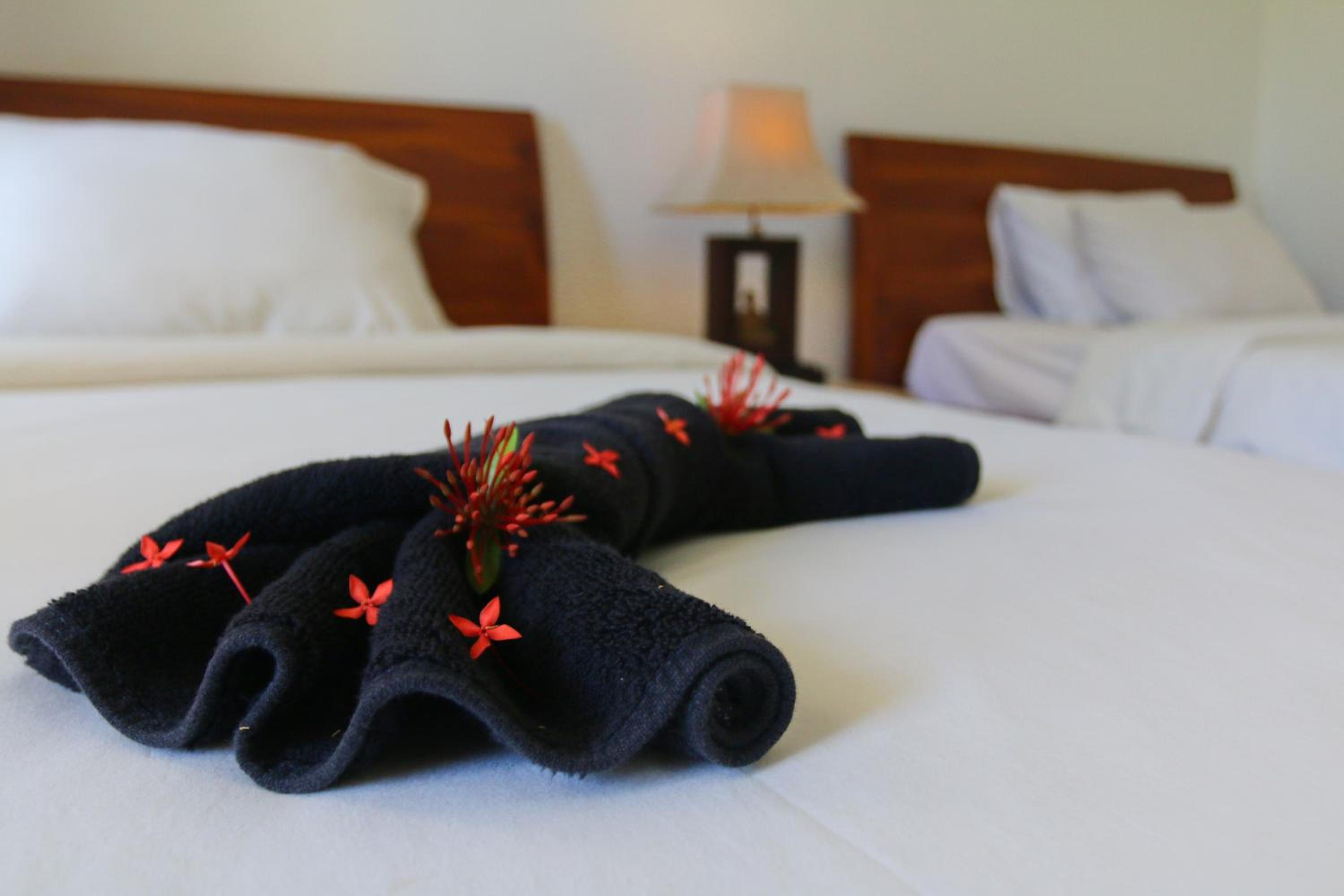 Twin Room with Terrace photo 3