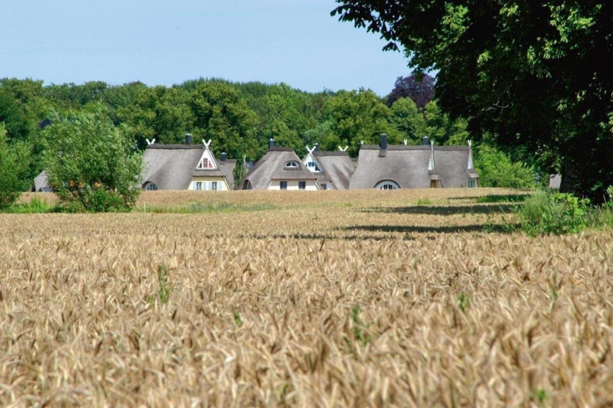 Holiday Home photo 2