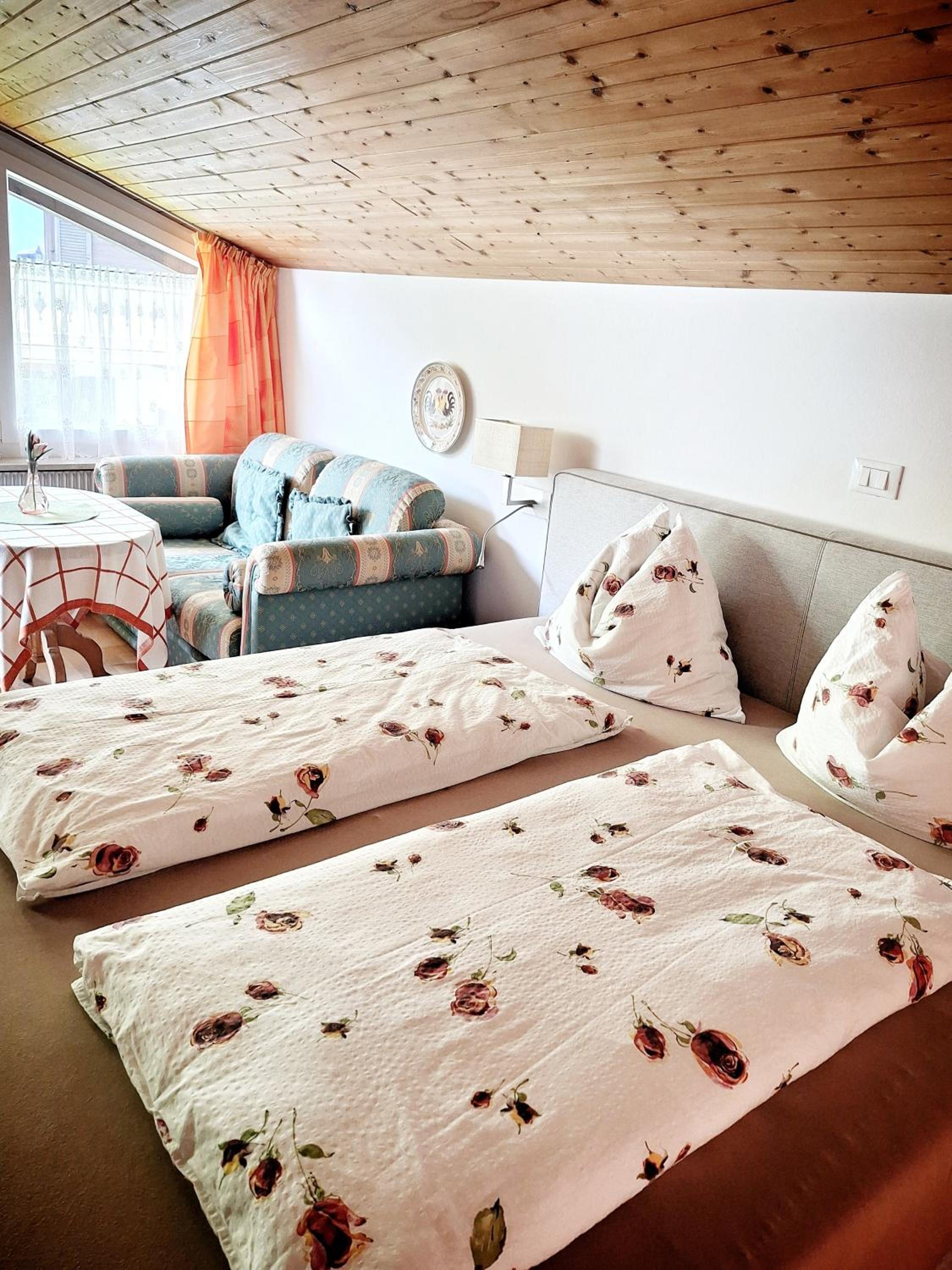 Double Room with Mountain View photo 3