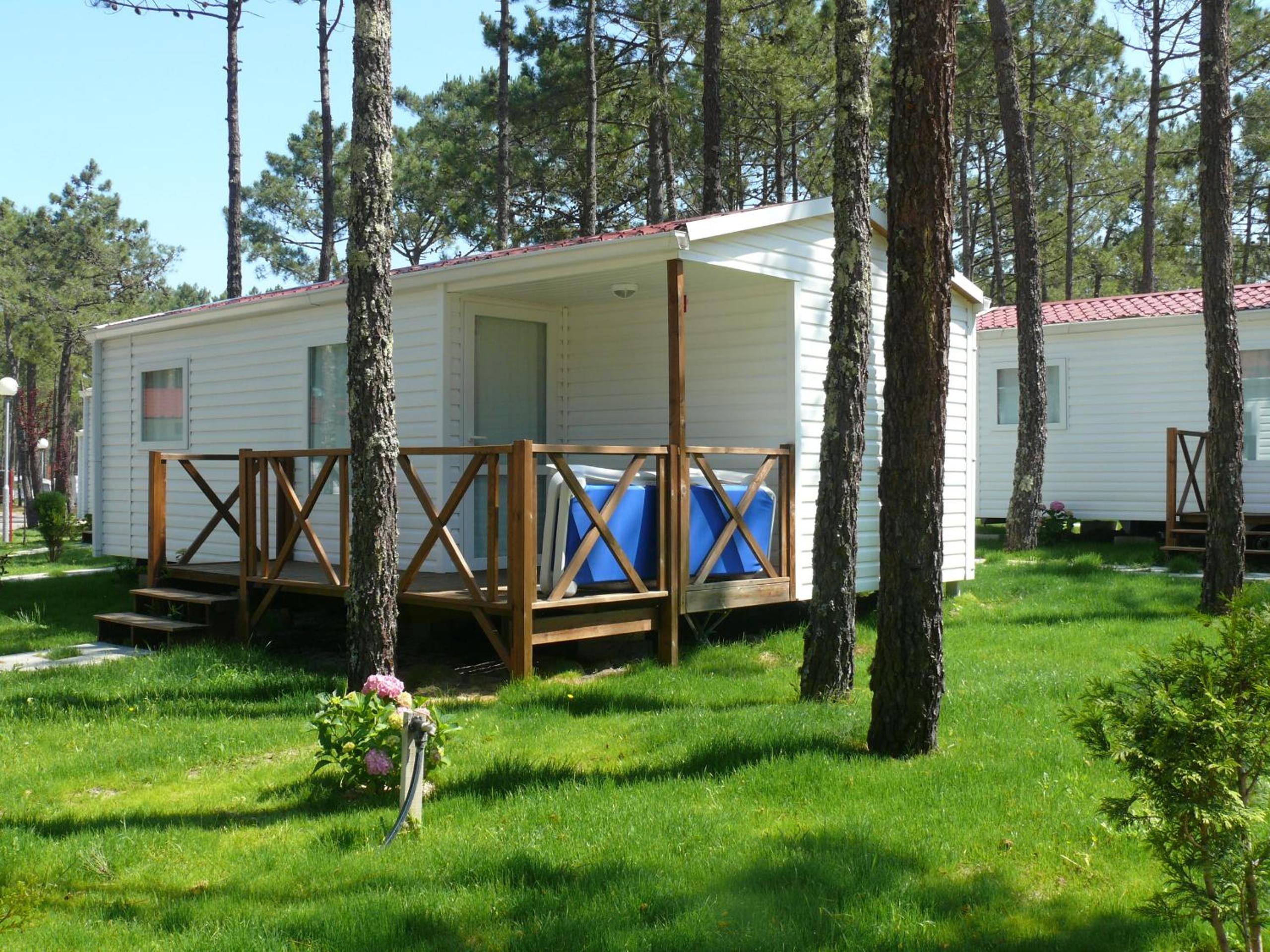 Mobile Home photo 2