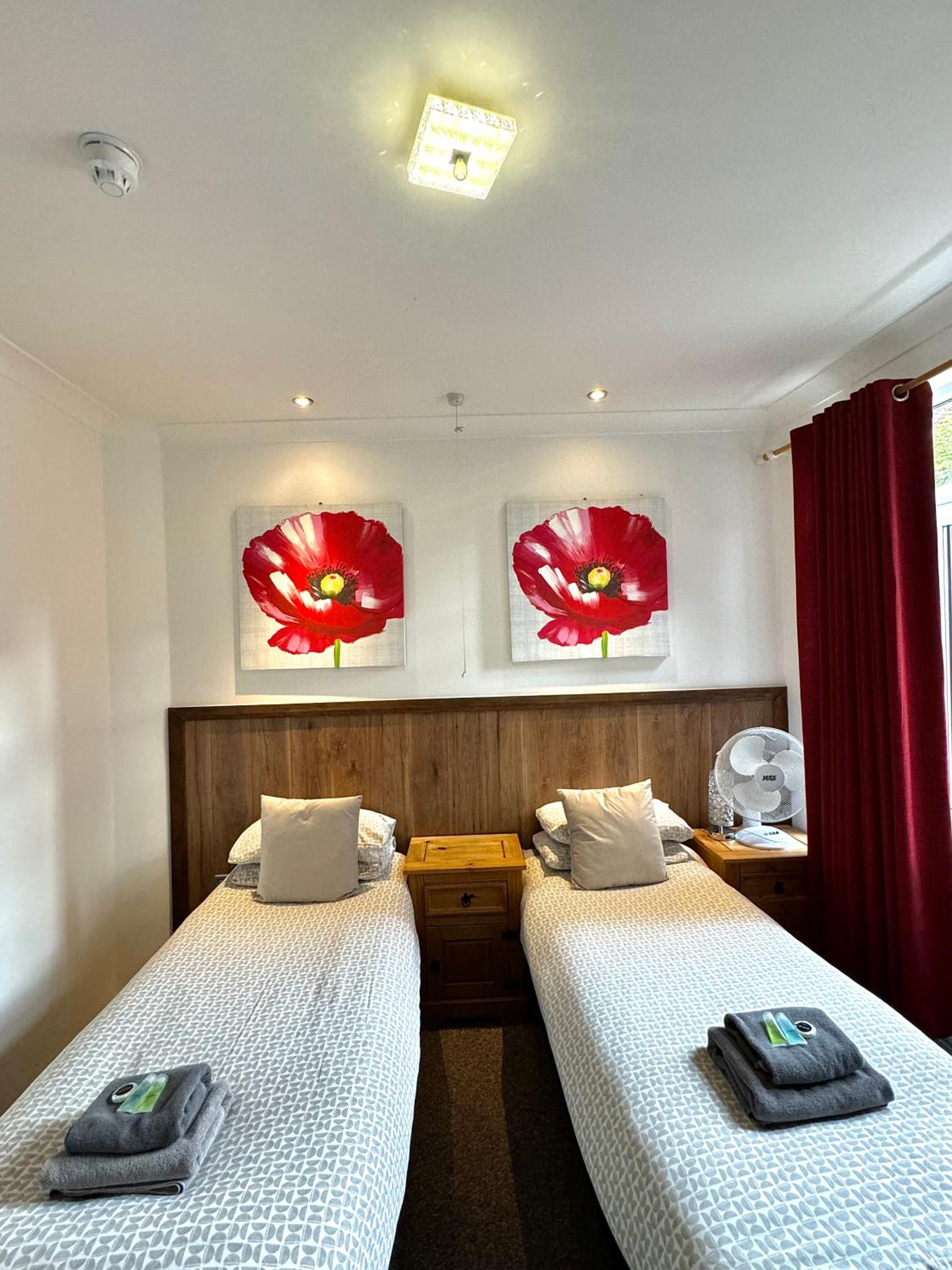 Superior  Double or Twin Room  photo 3