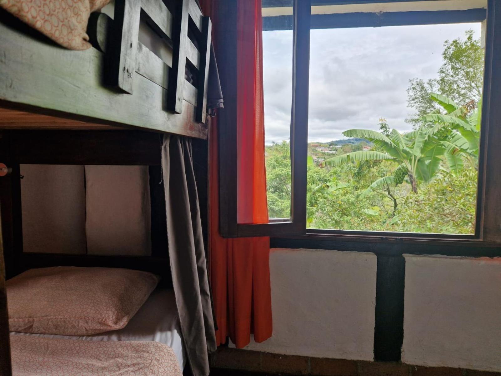 Bed in 4-Bed Mixed Dormitory Room