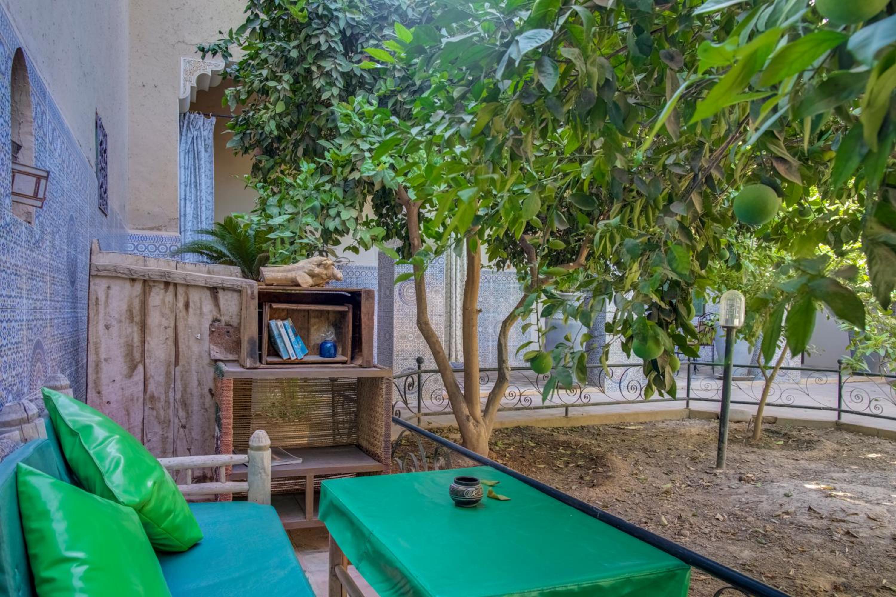Studio with Terrace photo 1