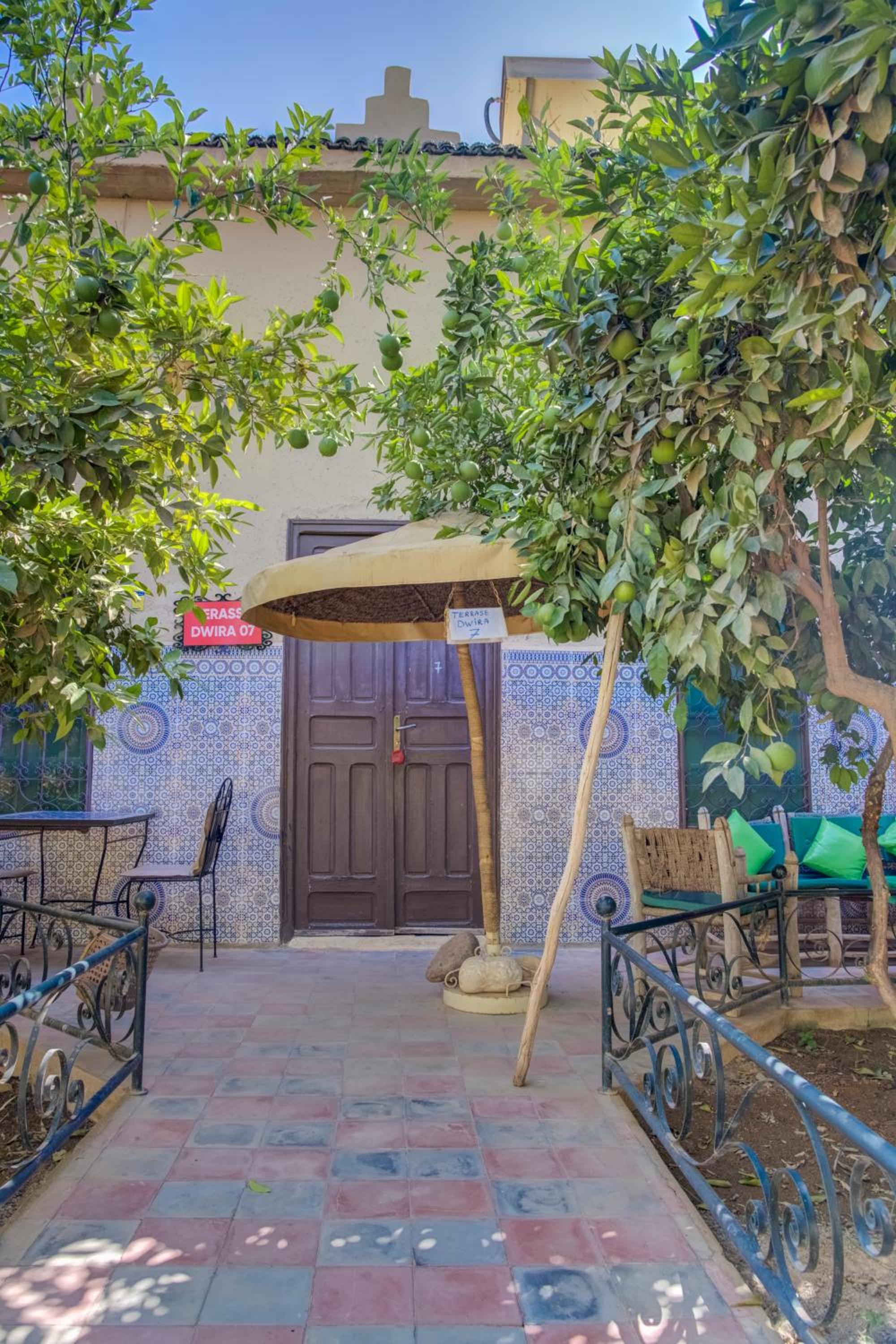 Studio with Terrace photo 3