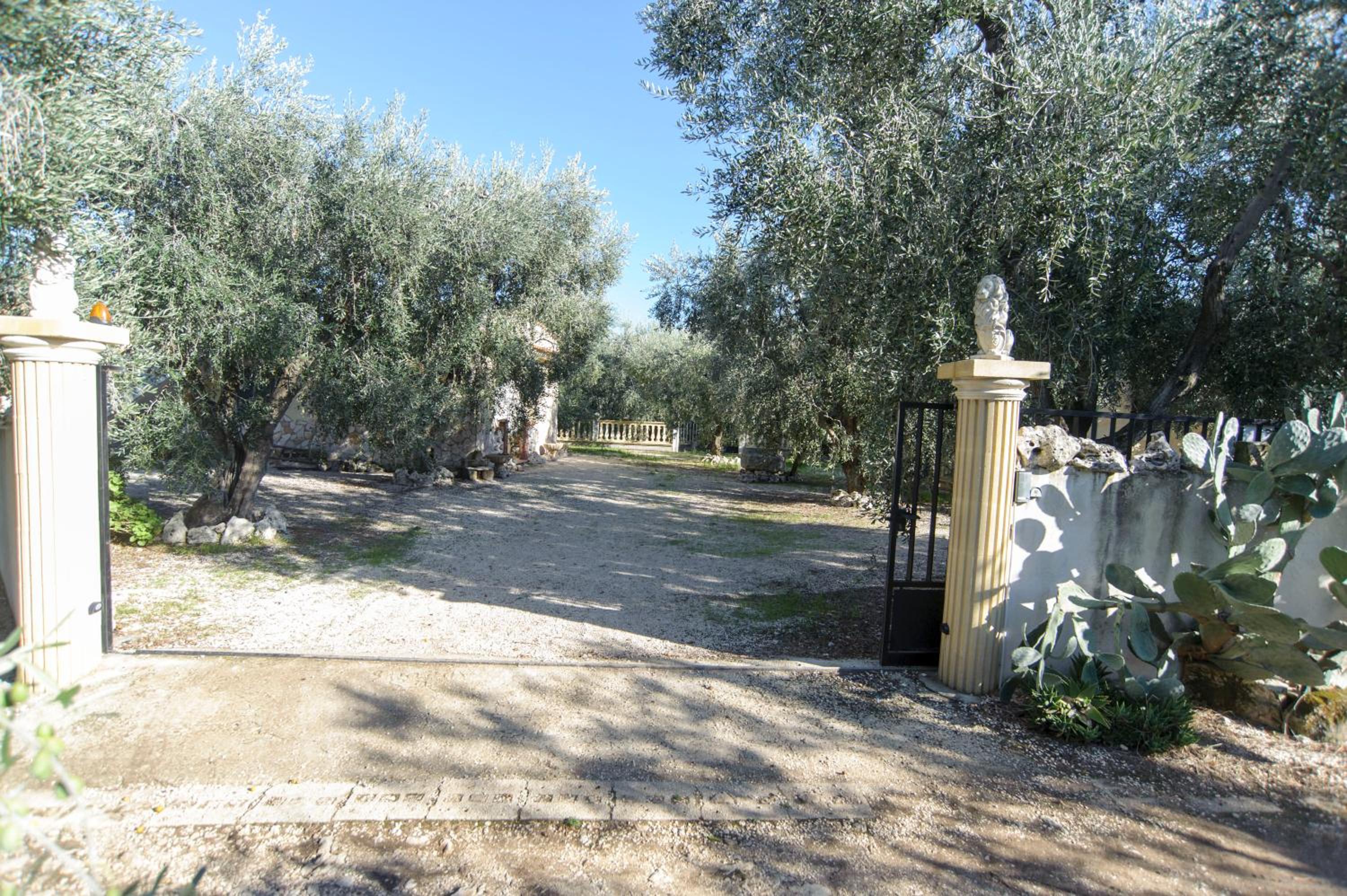 Villa with Garden View photo 3