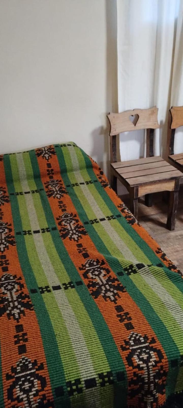 Single Bed in Mixed Dormitory Room photo 1