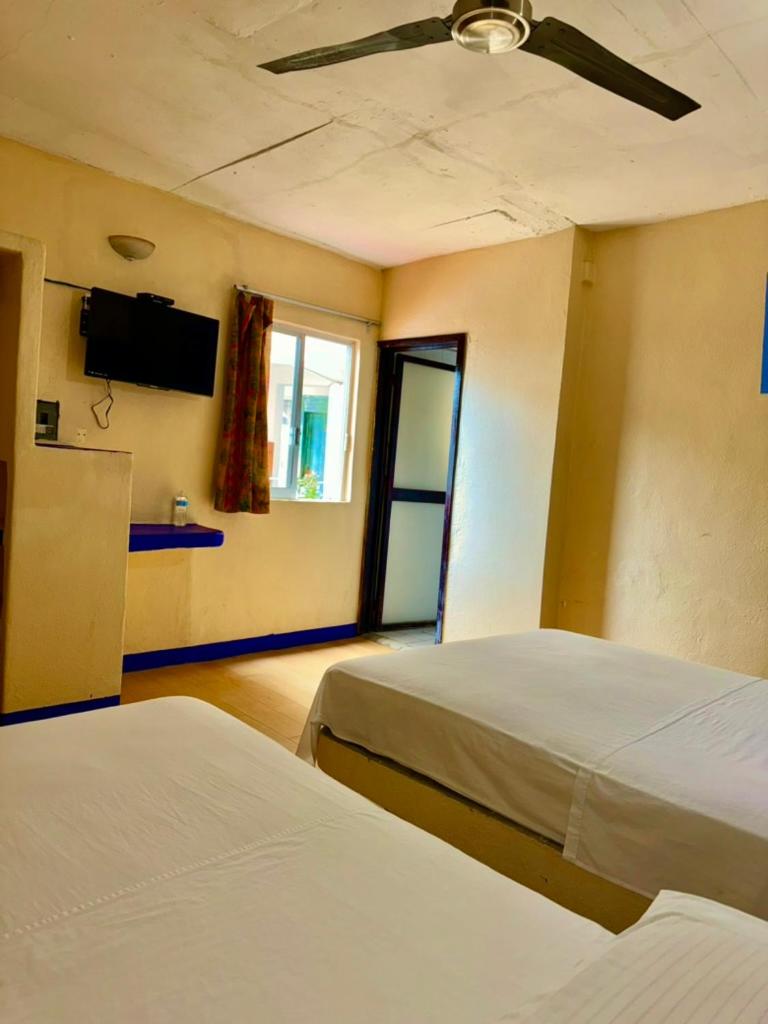 Standard Double Room with Two Double Beds photo 3