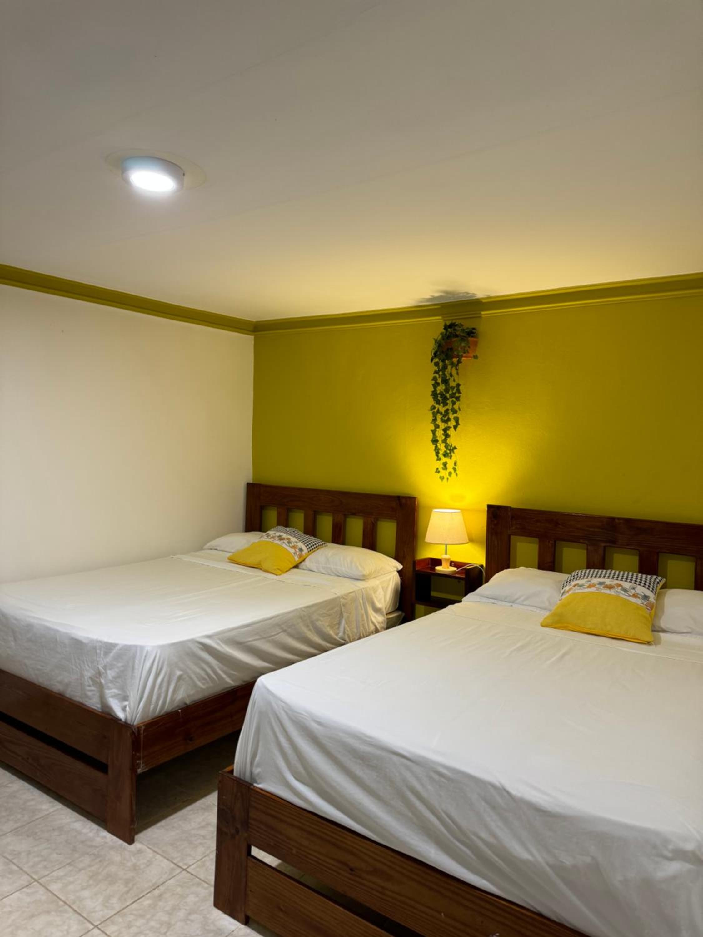 Appartement 1 Chambre Deluxe