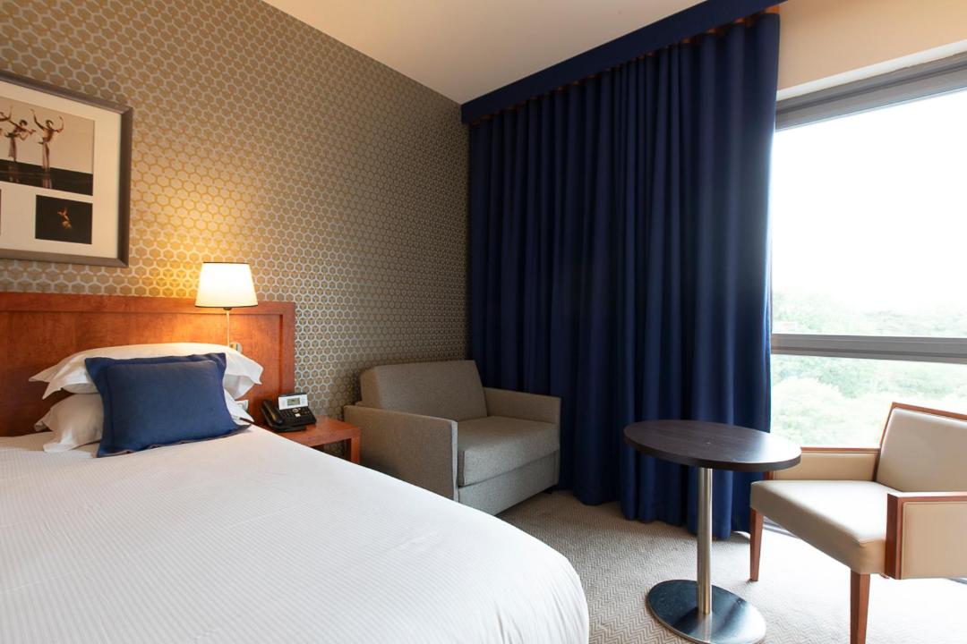 Premium King Room with Sofa Bed - Photo 1